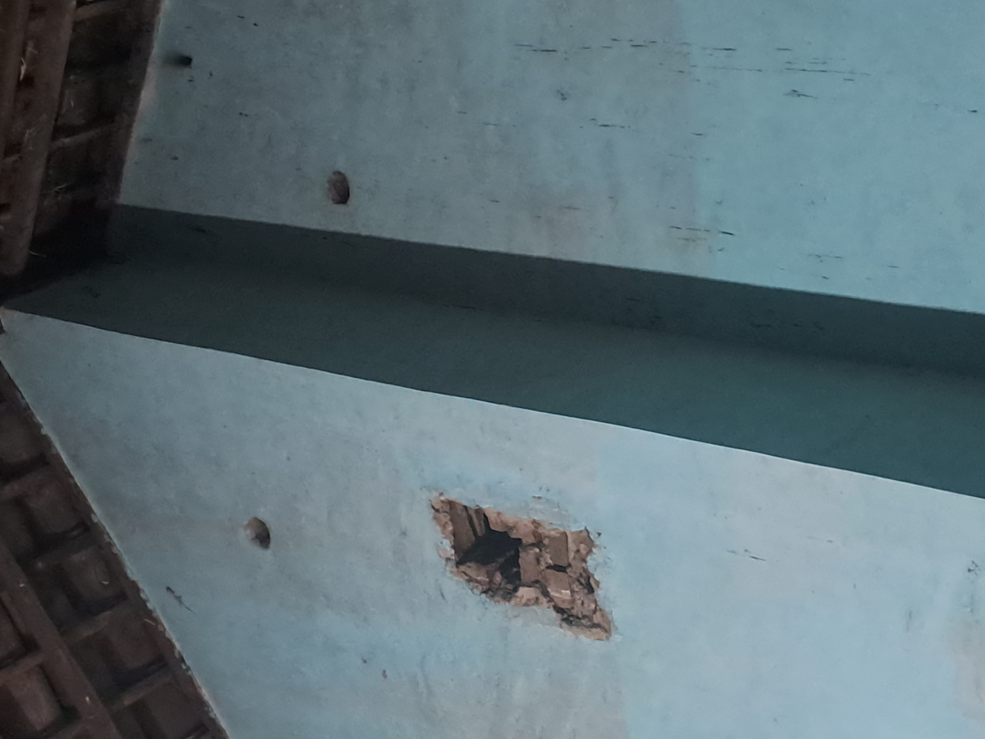 A close-up, low-angle exterior shot depicts the wall of a building with a light blue, textured finish. The wall is angled, with a distinct shadow line bisecting it diagonally from the upper right to the lower left. A section of the roof structure, made of dark wooden beams and reddish-brown tiles, is visible along the top edge of the image.
On the left side of the wall, there is a large, irregular hole, approximately 20 cm by 15 cm, revealing the underlying brickwork. The bricks are rough and discolored. Above this hole, near the roofline, is a small, dark circular opening, about 3 cm in diameter. Another similar dark circular opening is present on the right side of the wall, higher up and further to the right. The wall exhibits some minor marks and scuffs. The scene is static and shows no signs of human presence. This image was taken on March 18, 2024.