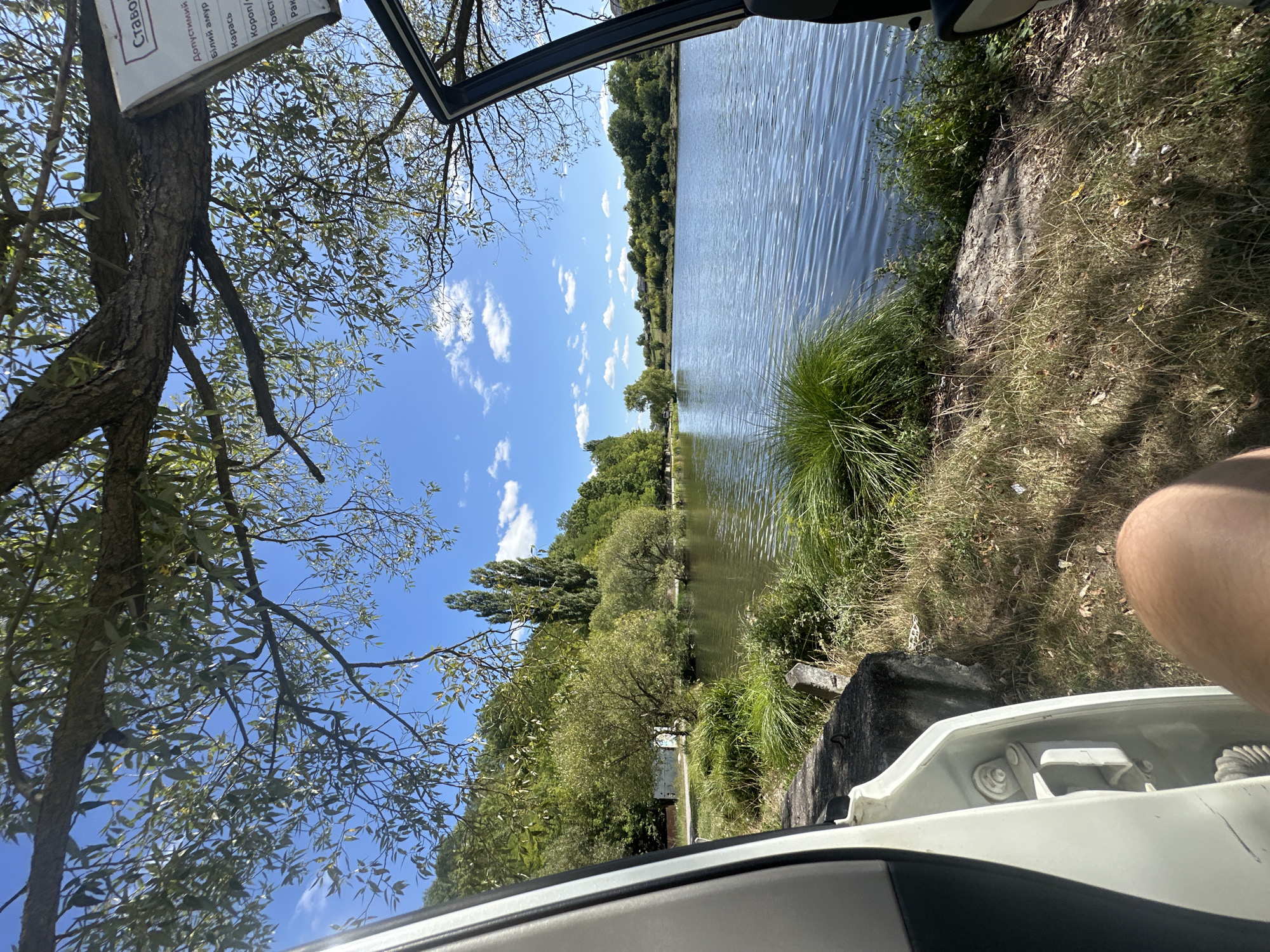 The image depicts a serene waterscape with a clear blue sky dotted with fluffy white clouds. A large tree with green foliage dominates the foreground, its branches extending over the scene. To the right, a white vehicle door is open, revealing a portion of its interior and a person's leg. The lake stretches out before the viewer, its surface rippling gently. Lush green trees and vegetation line the opposite bank, creating a picturesque backdrop. In the upper right corner, a sign is partially visible, with Ukrainian text indicating it is likely a location within Makiv, Ukraine, possibly a fishing spot or a protected area, given the listed fish species.