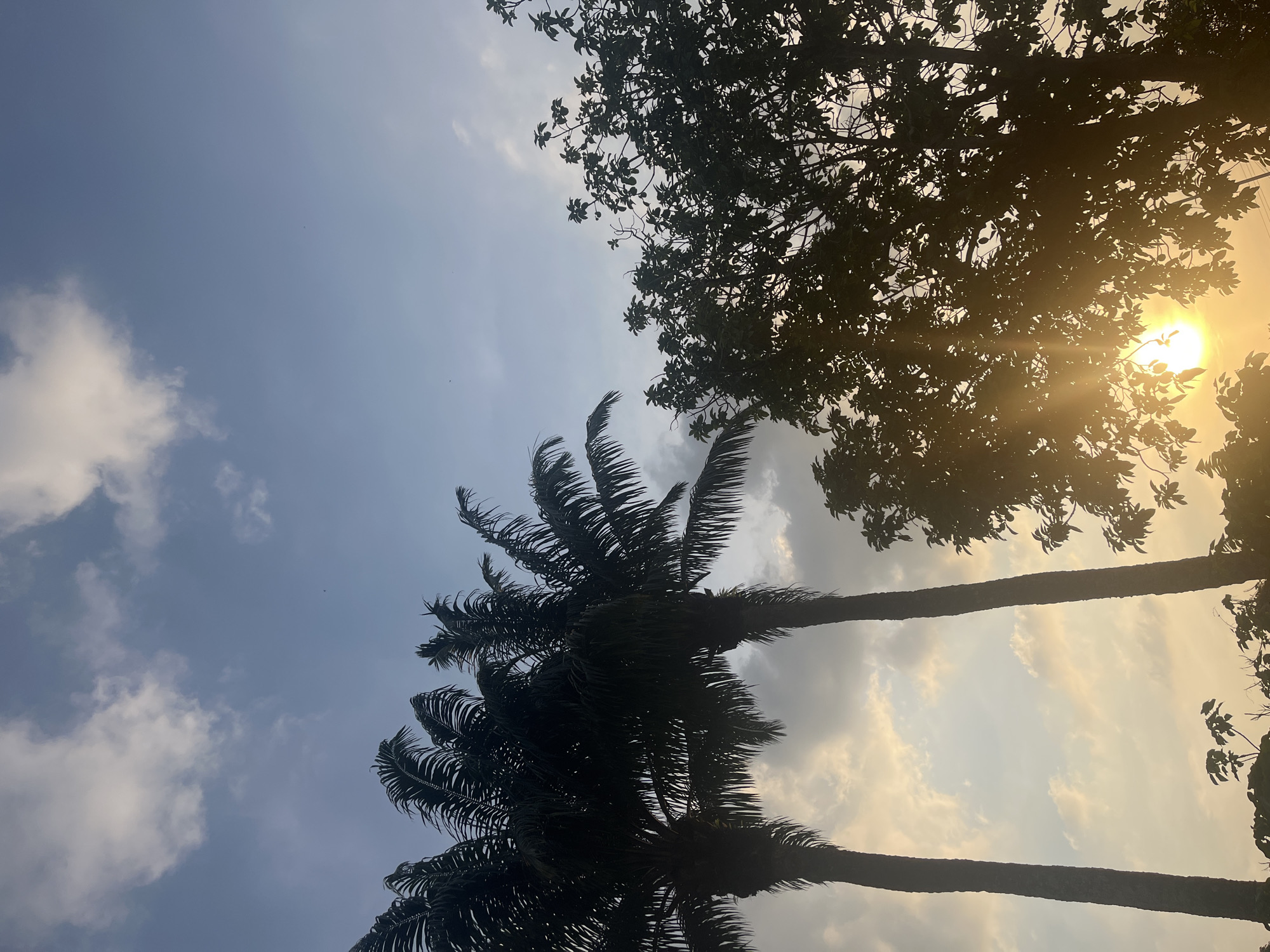 The image shows a view looking up at a sky with scattered clouds, framed by silhouettes of trees. On the left are two palm trees, their fronds distinct against the lighter sky. In the upper right, a different type of tree obscures the setting or rising sun, creating a starburst effect. The location appears to be Ikot Ekpene, Nigeria. There are no people visible in the image.