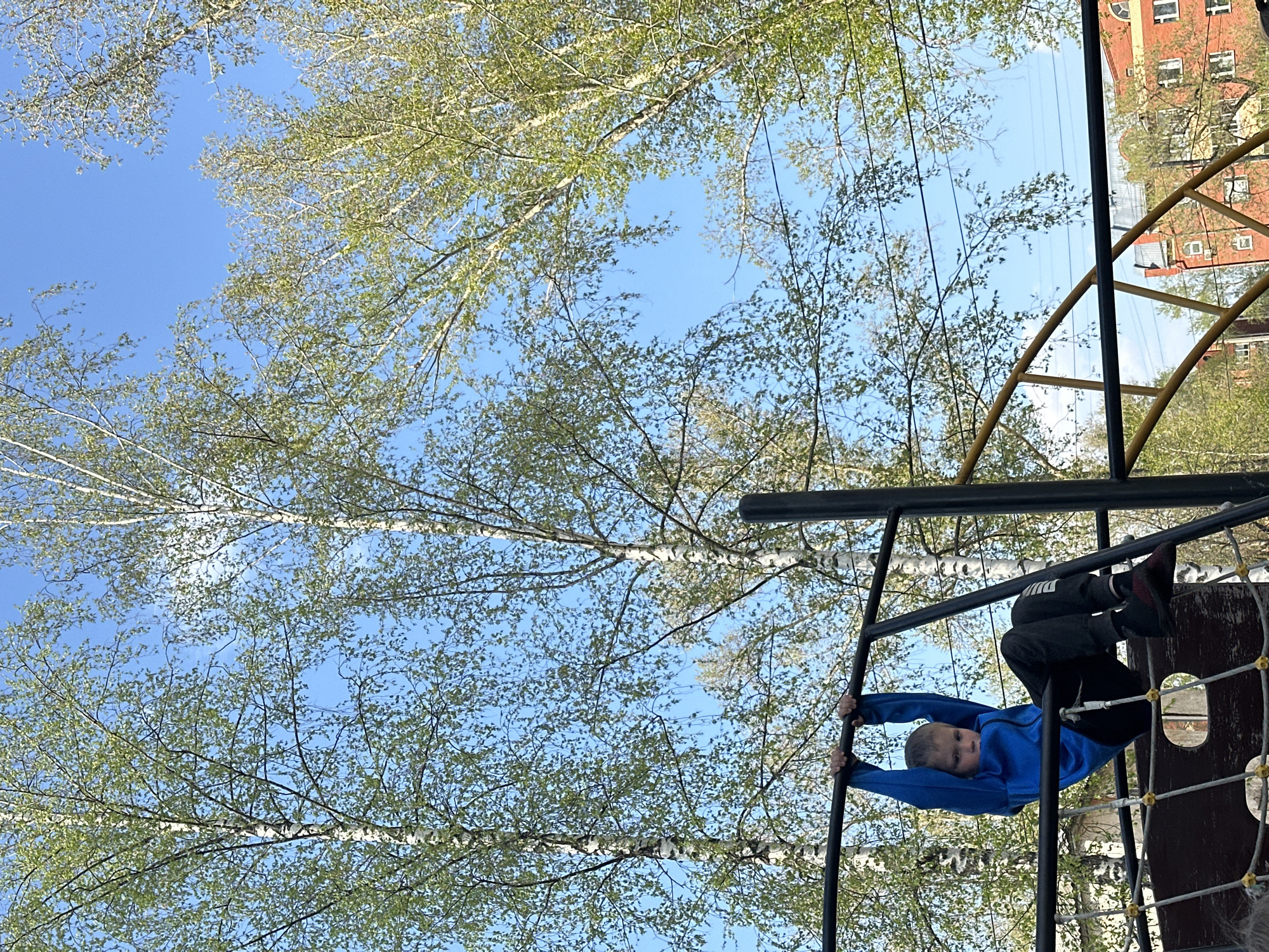 A young boy in a blue jacket and dark pants hangs upside down on a metal playground structure, gripping a horizontal bar with his hands. He is positioned within the structure, which also includes a climbing net and other metal bars. The backdrop features a view of trees with light green foliage against a blue sky. In the top right corner, a building is partially visible. The location is identified as the city of Chaikovsky, Russia.