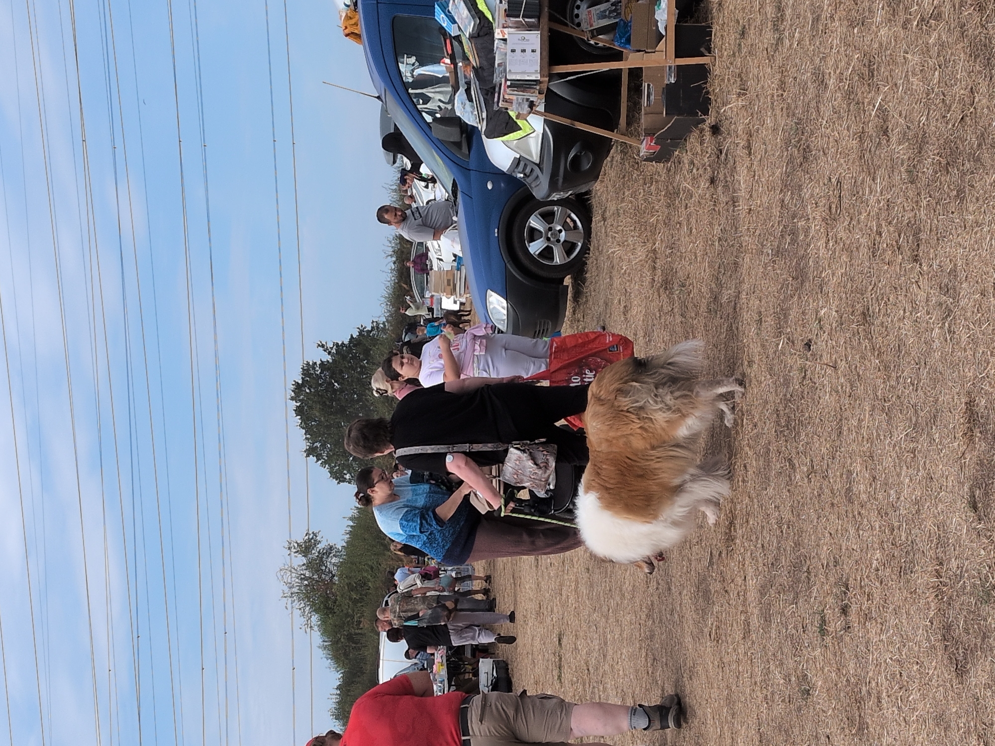 This is a full-shot, eye-level, outdoor photograph of a car boot sale on a dry, grassy field under a partly cloudy sky with power lines visible overhead. In the foreground, a long-haired, brown and white dog is standing on the grass. To the left, a person wearing a red t-shirt and beige shorts is standing. In the middle ground, a woman in a blue and white patterned top and brown trousers is interacting with another person and a pushchair. Further back, several other people are browsing or standing near cars. A blue van is parked on the right side of the image, with a stall set up in front of it displaying various items. The location is likely in South Staffordshire, United Kingdom, given the context of a car boot sale.