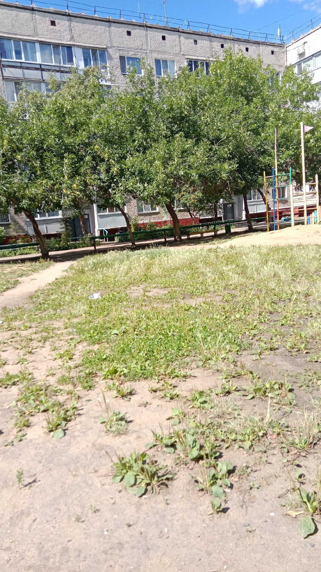 The image depicts a residential area in Petropavl, Kazakhstan, on a sunny day. In the foreground, a patch of unkempt grass and bare earth is visible. A dirt path curves through the scene. In the mid-ground, several mature trees with lush green foliage stand in a line. Behind the trees, a concrete building with multiple stories and numerous windows is visible. The building appears to be an apartment complex. To the right of the trees, a section of a colorful children's playground structure, including red and blue poles, is partially visible. The overall impression is of a typical urban courtyard setting.