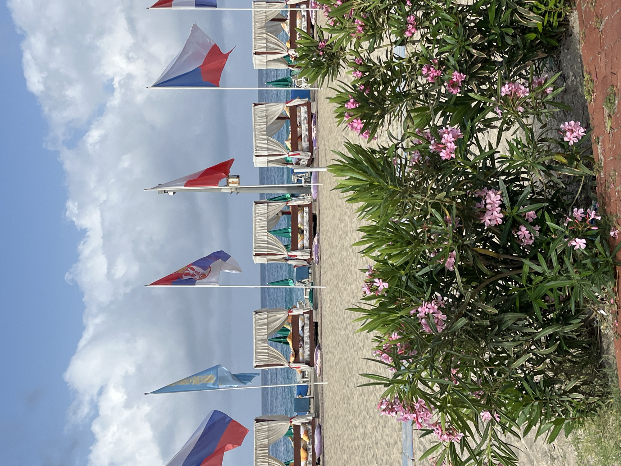 The image depicts a beach scene in Alanya, Turkey. Beach umbrellas and sunbeds are seen along the sandy beach. Flags representing different countries are displayed along the beach, including Russia, Serbia, and the Czech Republic. Pink flowers and green bushes are in the foreground. The sky is blue with white clouds. The water is visible in the background between the beach structures.