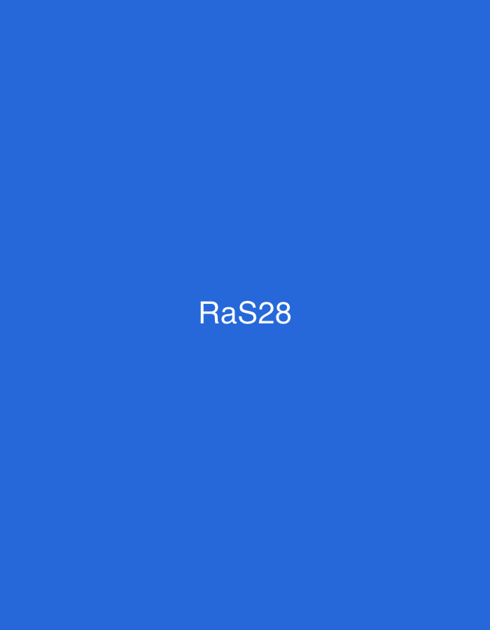 The image presents a solid, uniform medium blue background. Centered horizontally and vertically on this field is the white text "RaS28." The text is rendered in a clear, sans-serif typeface, with an uppercase 'R', a lowercase 'a', an uppercase 'S', followed by the digits '28'. No other visual elements, such as people, objects, or environmental details, are present.