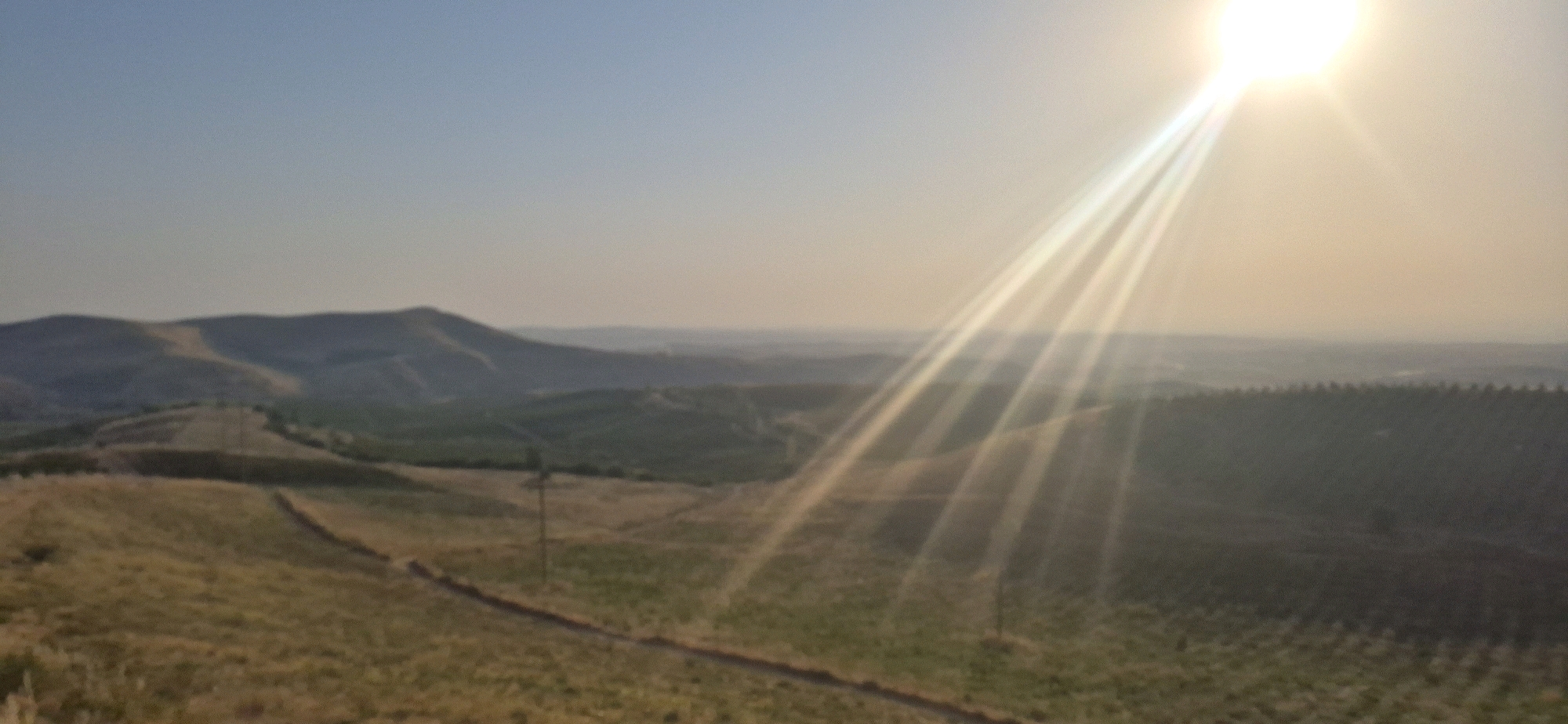An outdoor, high-angle, long shot captures rolling hills under a bright, sunlit sky. The sun, positioned in the upper right corner, emits strong rays that create a lens flare effect across the image. The landscape features varied terrain, with some hills appearing barren and others covered in sparse vegetation. In the mid-ground, a line of trees is visible on a lower hillside, forming a dark, textured band. A dirt path snakes along the contour of one of the foreground hills. The sky is a pale blue, gradually transitioning to a hazy, yellowish hue near the horizon, suggesting either sunset or a dusty atmosphere. There are no visible people or animals. The scene is consistent with a natural, undeveloped rural environment. The location of Bokurt, Uzbekistan, is indicated for this landscape, suggesting a region characterized by arid or semi-arid hills and potentially agricultural or natural tree plantations.