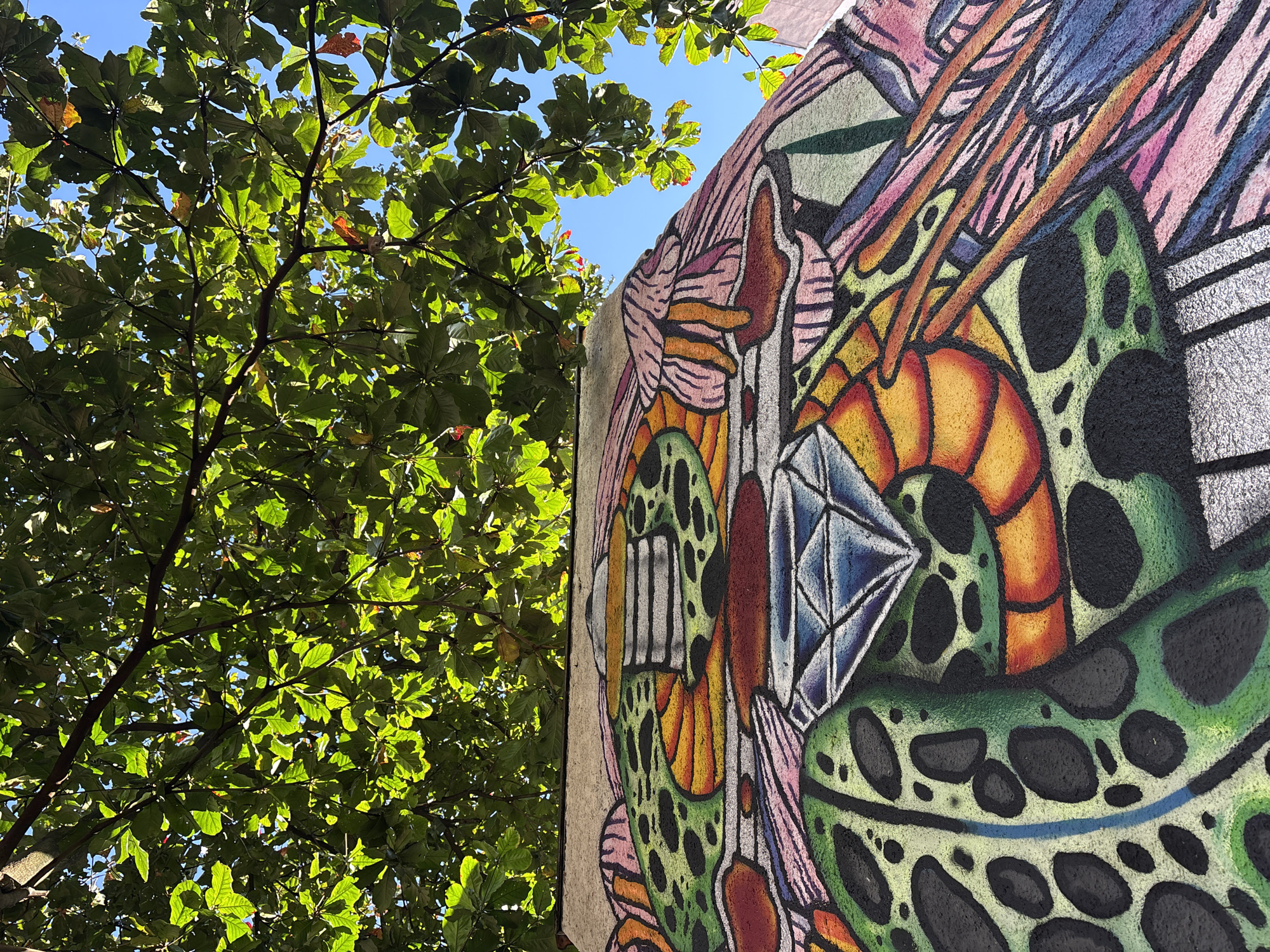 The image shows a low-angle view of a colorful mural on a curved wall, seen from below and partially obscured by green leaves and branches of a tree. The mural features abstract, vibrant patterns and shapes, with prominent elements including a large, faceted diamond in shades of blue and white, green splotchy shapes with black dots, and sections with orange, yellow, pink, and purple hues. The mural is textured and appears to be made of chalk or a similar medium. Above the mural, the bright blue sky is visible through the dense green foliage, with sunlight filtering through the leaves, creating dappled light and shadow. The context suggests this is an outdoor mural in a location with ample natural light and vegetation. This specific mural is located on a wall at the corner of Rua Augusta and Rua Augusta B, in the Jardins neighborhood of São Paulo, Brazil.