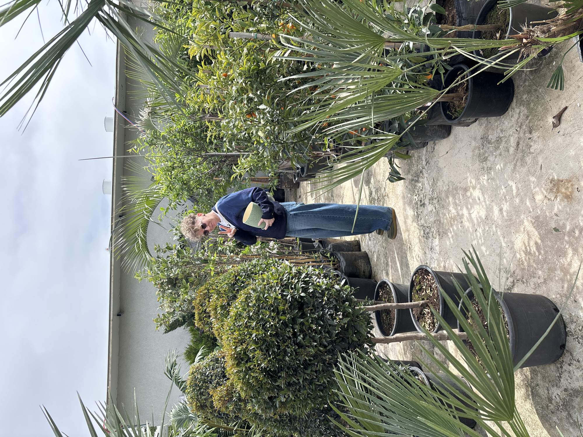 The image shows a person standing amidst rows of potted plants in an outdoor setting, likely a plant nursery or garden center in Tel Aviv, Israel. The person, dressed in a navy sweater and jeans, is holding a book and appears to be examining the surrounding greenery. The plants consist of various species, including palm trees and citrus trees bearing fruit. The potted plants are arranged on a concrete surface. A building with a white wall is visible in the background. The overall impression is one of a bright, sunny day.