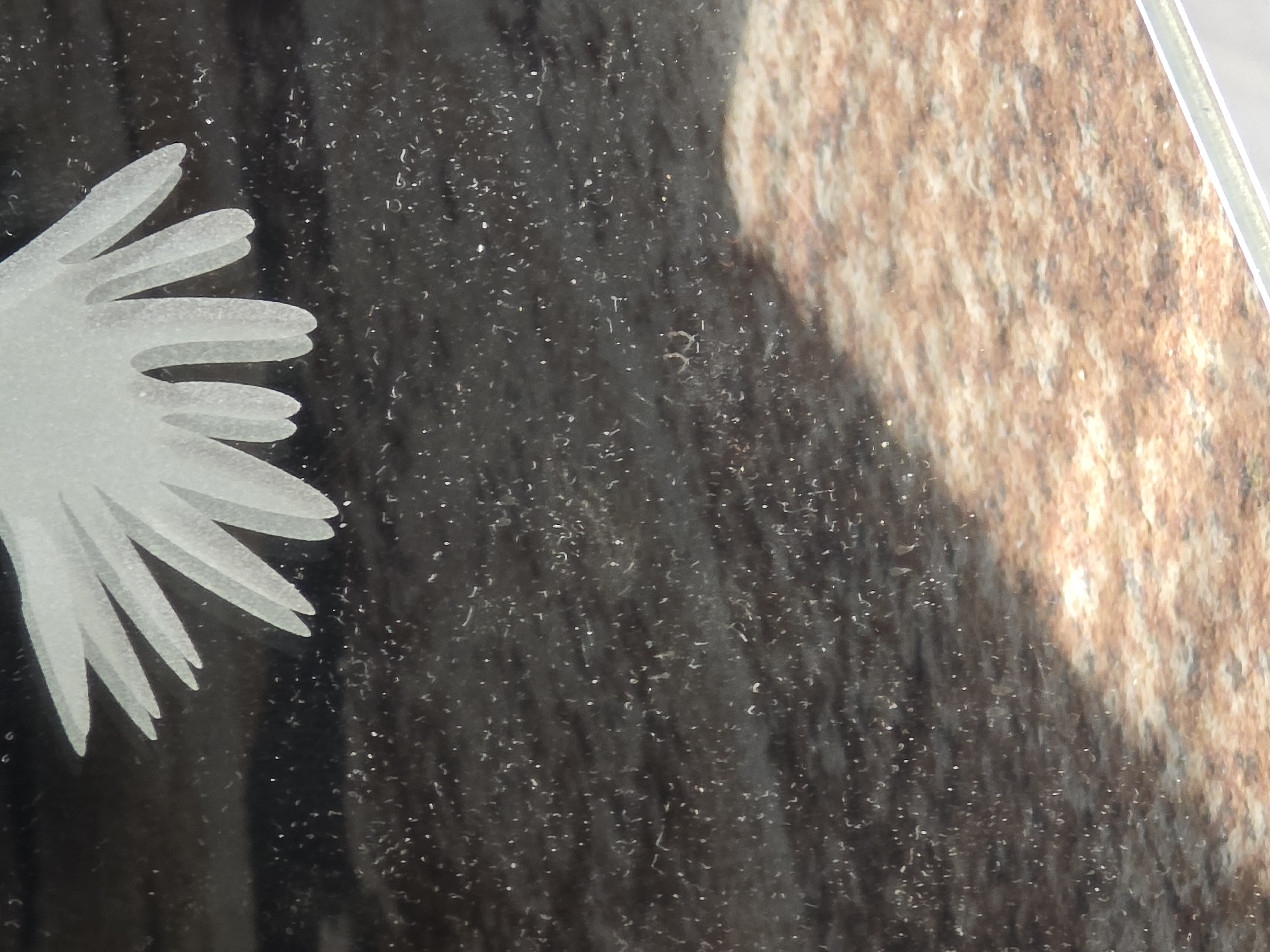 The image shows a close-up of a black granite headstone with a frosted white design of a flower on its upper left quadrant. The flower has multiple petals radiating outwards, with the tips of some petals visible. The granite surface is speckled with small white particles, possibly dust or debris. A diagonal shadow from the right side of the frame falls across the lower half of the headstone, transitioning to a lighter, speckled brown and orange surface below the headstone, which appears to be another stone surface, possibly part of the grave site. The lighting suggests an outdoor setting. The image is taken from a high angle, looking down at the headstone. The location is listed as Unknown, Unknown.