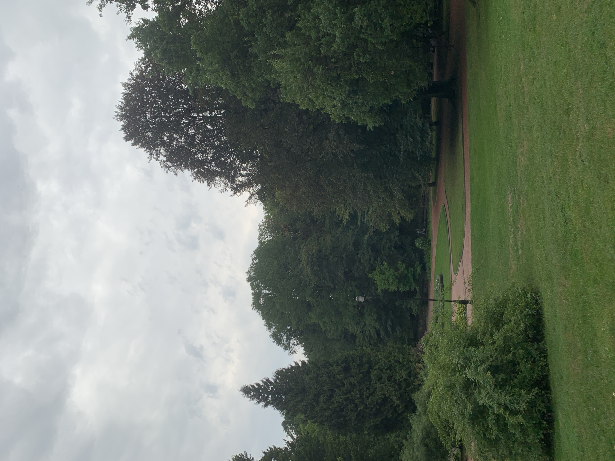 The image depicts a tranquil park scene with lush green grass and a variety of trees, under a cloudy sky. In the foreground, a large, dense bush occupies the left side of the frame, with manicured lawns extending to the right. A winding, reddish-brown path curves through the middle ground, bordered by more trees and a lamppost. In the background, a dense forest of trees creates a natural backdrop. The overall atmosphere is peaceful and serene, suggestive of a public park or garden. The location is specified as a park in Lviv, Ukraine. There are no visible people or animals in the image.