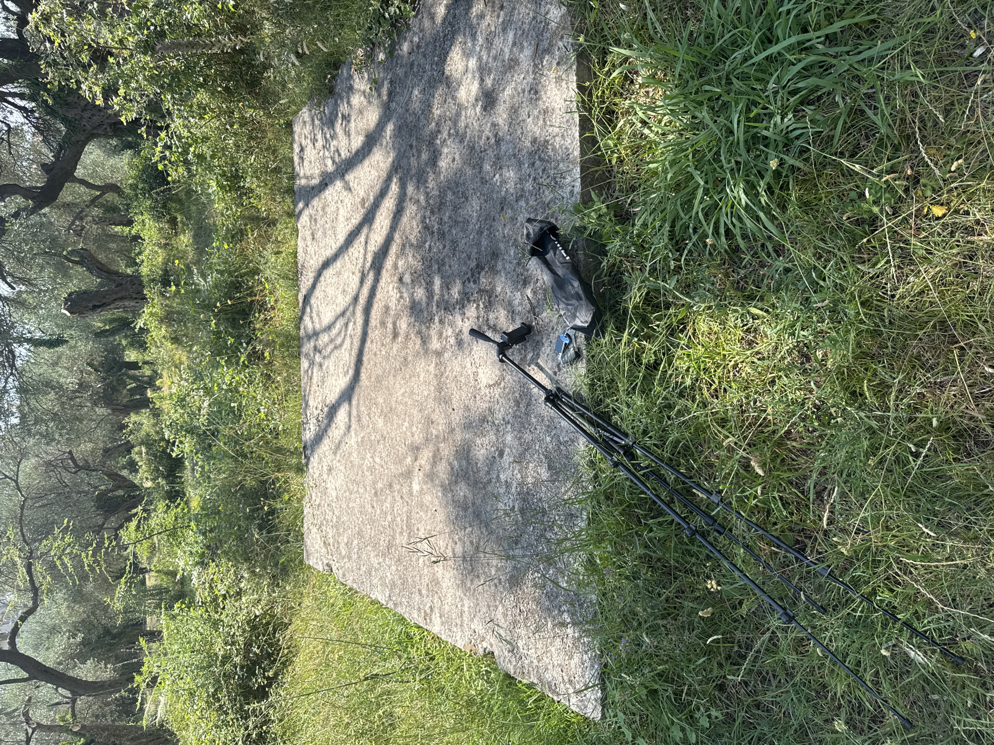 This media file depicts an outdoor scene in Rafailovići, Montenegro. The primary subjects are a flat, light-colored stone slab and some outdoor equipment placed on or near it. The stone slab appears to be a significant feature of the scene, possibly a man-made platform or a large natural rock. Next to the slab, there is a black carrying case and a disassembled tripod. The tripod's legs are extended and spread out on the grassy ground beside the stone.
The setting is natural, with lush green grass and vegetation surrounding the stone slab. In the background, there are trees, suggesting a rural or natural environment. The lighting indicates it is daytime, with strong shadows cast on the stone slab by tree branches, implying a sunny day with intermittent shade. The overall mood is peaceful and tranquil, typical of an outdoor excursion or preparation for an activity.
There is no discernible activity or event taking place, other than the placement of the equipment. The scene appears to be set up for an activity that would involve the tripod, such as photography or perhaps bird watching, but the activity itself is not captured.
Notable details include the texture of the stone slab, which has a somewhat rough and mottled surface, and the distinct pattern of shadows from the trees. The vibrant green of the grass contrasts with the neutral tone of the stone. There is no visible text in the image.