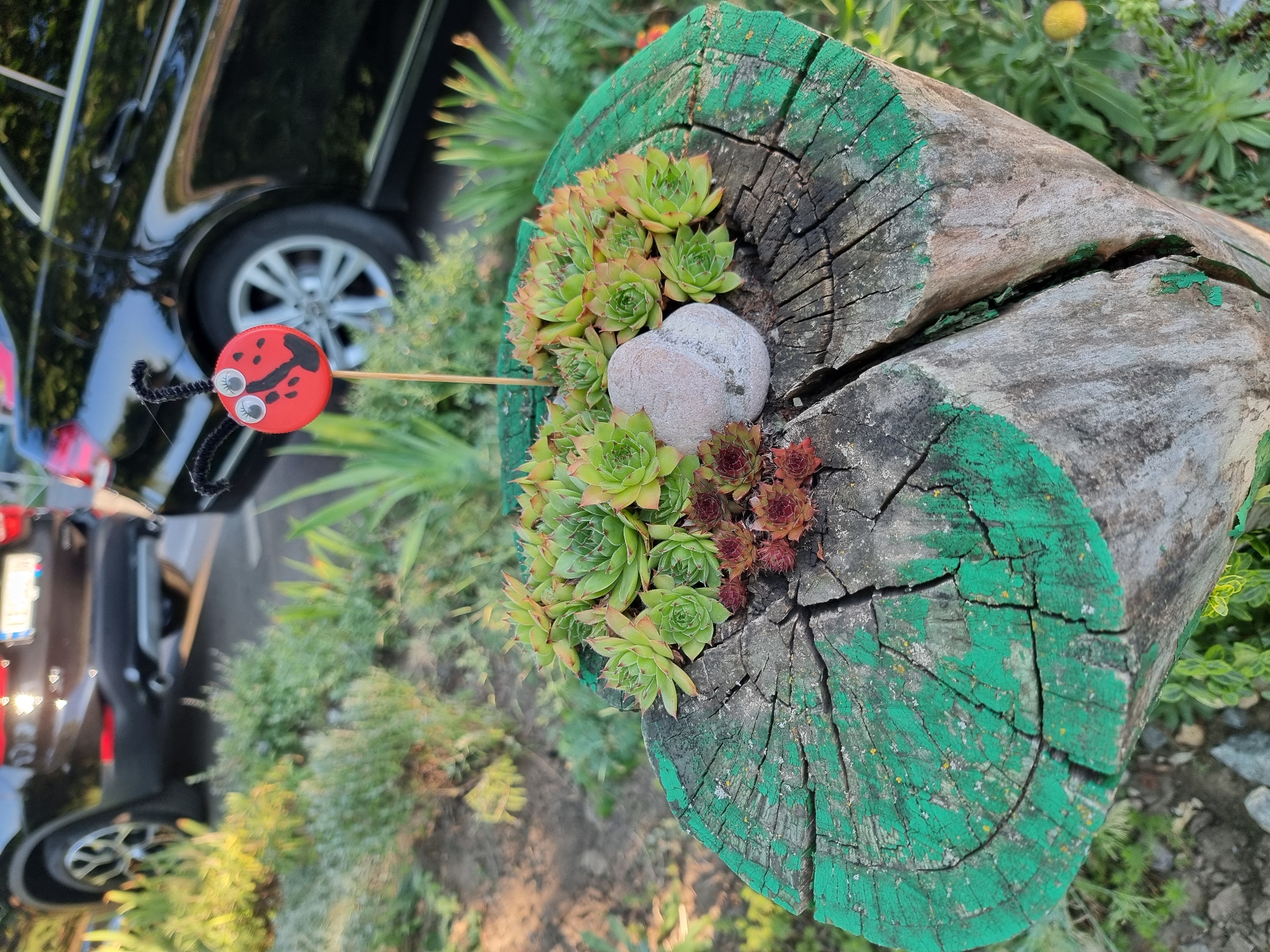 The image shows a close-up of a tree stump that has been repurposed as a planter. The stump is painted green, and several succulents are planted on its surface. A decorative ladybug made from a red bottle cap with googly eyes and pipe cleaner antennae is stuck into the soil of the planter. In the background, two black cars are parked, and greenery suggests an outdoor setting. The scene is likely located in Kryvyi Rih, Ukraine, given the context. There are no people visible in the image, and the overall environment appears to be a residential or public outdoor space.