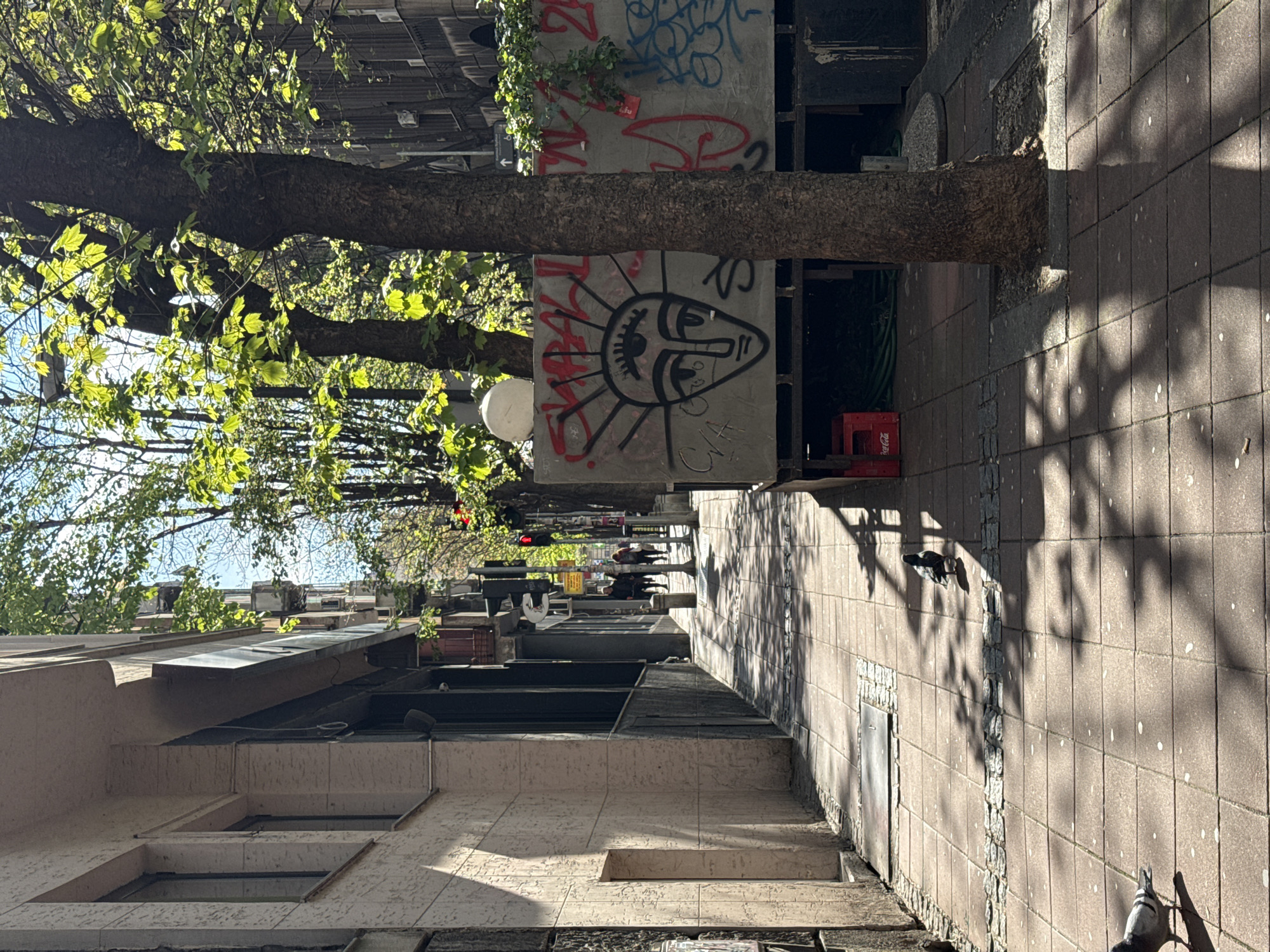 A sideways view captures a street scene in Belgrade, Serbia. The perspective is from the base of a building upwards toward a street lined with trees and pedestrians. The building's facade is visible with its various window and architectural details.
A prominent tree trunk spans across the image, with branches and leaves reaching up. Attached to the tree are concrete structures bearing graffiti art. Red and black graffiti adorns these structures.
A red Coca-Cola crate is situated on the ground near the tree. The sidewalk is paved with rectangular bricks, patterned with light and shadow. Two pigeons are visible on the pavement.
Further down the street, pedestrians are walking in both directions. Traffic lights are visible in the distance. The surrounding buildings are a mix of heights and architectural styles.