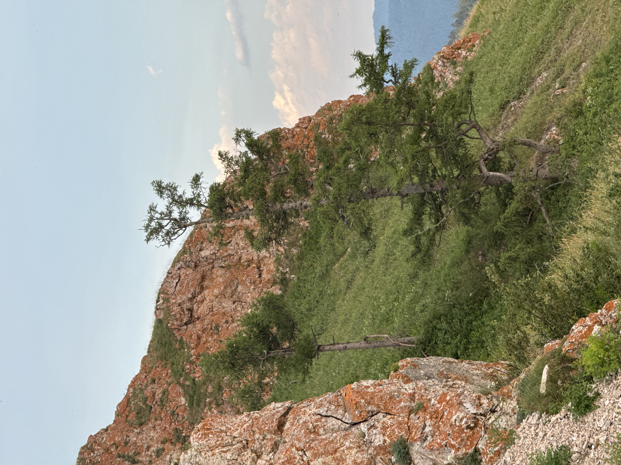 The image depicts a rocky, overgrown hillside under a pale blue sky with scattered clouds. The terrain is steep, with large, reddish-orange rock formations covered in patches of green vegetation and moss. Several trees with sparse foliage grow on the slopes, their branches reaching towards the sky. In the foreground, a large, textured rock face dominates the left side of the frame, showing cracks and mineral deposits. The middle ground features a sloping grassy area interspersed with more rocks and vegetation. The background reveals a distant, hazy blue mountain range. This scene is consistent with the landscape found in the Stolby Nature Reserve, located on the outskirts of Krasnoyarsk, Russia, known for its unique rock formations and natural beauty. There are no people or active subjects visible in the image.