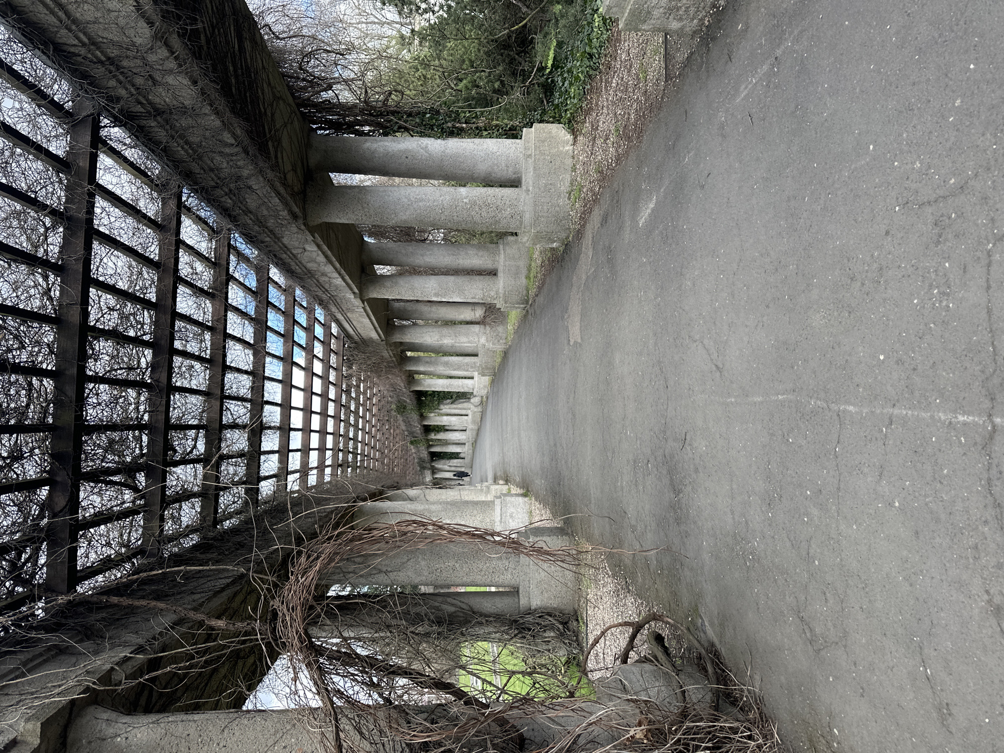 The image depicts a pathway alongside a pergola in Wrocław, Poland. The pergola is constructed of concrete pillars and a wooden lattice structure overgrown with bare vines, suggesting it is either winter or very early spring. The pathway is made of asphalt and runs parallel to the pergola. The pergola's concrete pillars are spaced evenly along its length, and the wooden lattice provides a partial screen. Beyond the pergola, trees and vegetation are visible. There are no people visible in the frame. The perspective is looking down the pathway, creating a sense of depth. The lighting is diffused, indicating an overcast day.