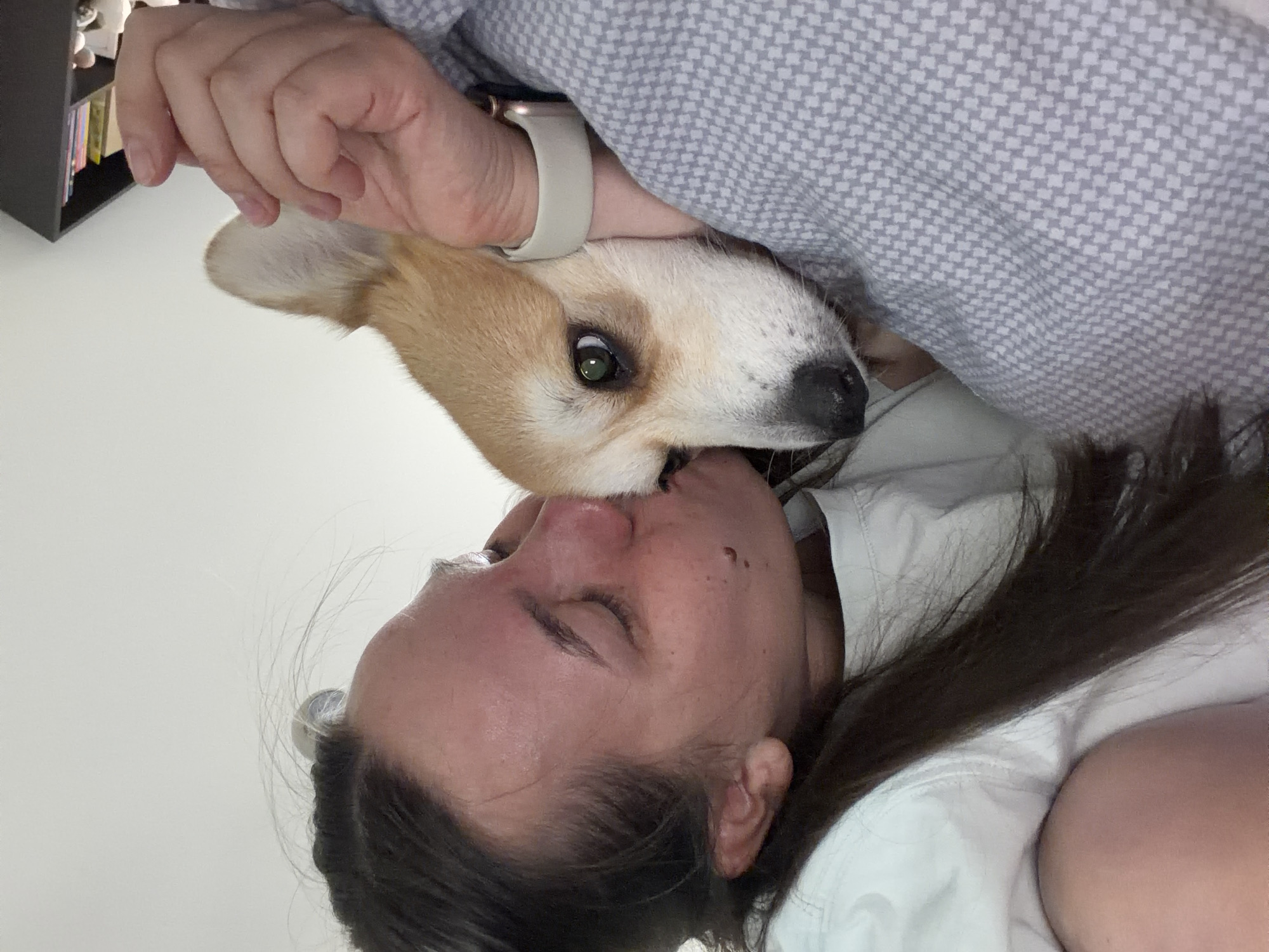 A woman with dark hair is lying down with her eyes closed, possibly in bed, being kissed on the nose by a corgi dog. The dog is mostly white and tan, with one visible green eye. A hand with a smartwatch is visible near the dog's head. Part of a patterned gray blanket is in the upper right of the image. A bookshelf is partially visible in the upper left corner. It is unknown if this image was taken in Chaikovsky, Russia.