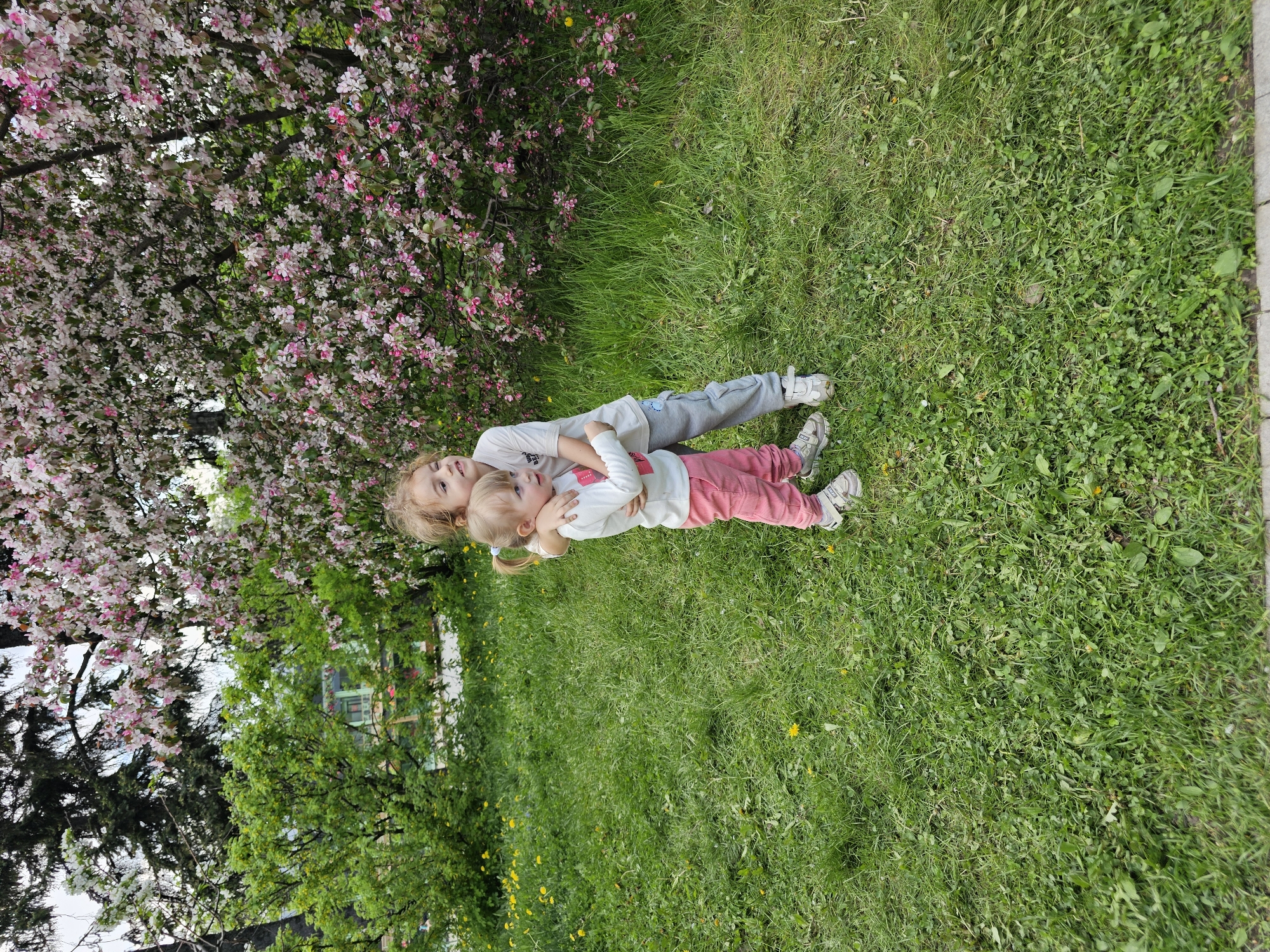 Two young children lie on green grass near blooming trees. The older child, wearing a white shirt and gray pants, is positioned underneath the younger child, who wears a white shirt and pink pants. The children are close, possibly siblings, and are lying together on the grass. The background features lush green grass, blooming trees with pink and white flowers, and additional green foliage. The location is a grassy area, likely a park or garden in the city of Unknown, Unknown.