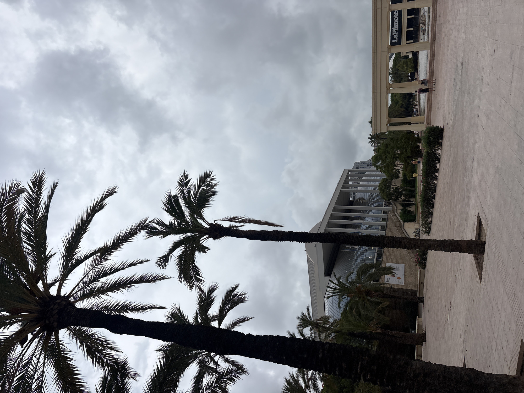 The image shows a public plaza with several palm trees in the foreground, silhouetted against an overcast sky. In the mid-ground, a large modern building with a glass dome and white columns is visible. To the right of this building, a long, colonnaded structure with the text "La Filmoteca" is present, indicating a cinema or cultural center. Two people are walking in the distance near the colonnaded structure. The plaza itself is paved with light-colored tiles. The scene appears to be in the city of València, Spain, possibly within the City of Arts and Sciences complex or a similar urban public space.