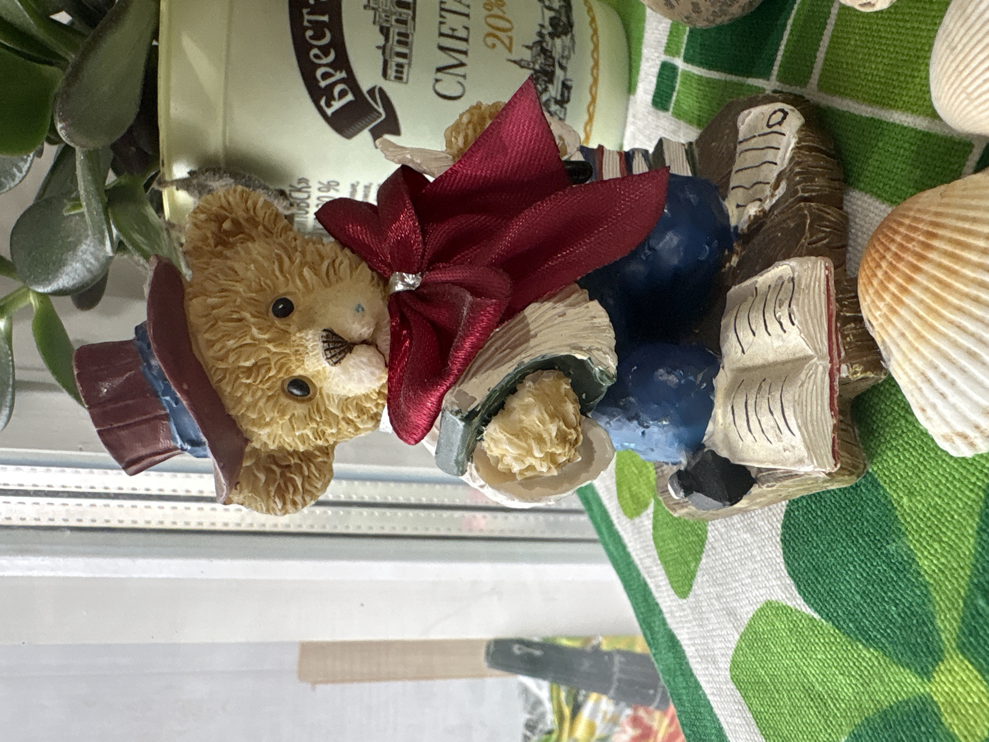 A close-up, eye-level shot captures a decorative figurine of a teddy bear situated on a table near a window. The bear, dressed in a top hat, blue pants, and a red cape tied with a bow, is depicted holding an open book and a stack of other books. The figurine is placed on a green and white patterned surface, possibly a tablecloth. In the background, a potted plant with lush green leaves is visible, along with a portion of a light-colored container that appears to be a dairy product, possibly "СМЕТАНА 20%" (sour cream 20%) written on it, suggesting a presence in Vitsebsk, Belarus, where this brand is common. The window behind the figurine offers a view of the outdoors, with vertical window frames and diffused light. Scattered seashells are also present in the foreground and to the right of the figurine. The scene is well-lit, with natural light coming from the window.