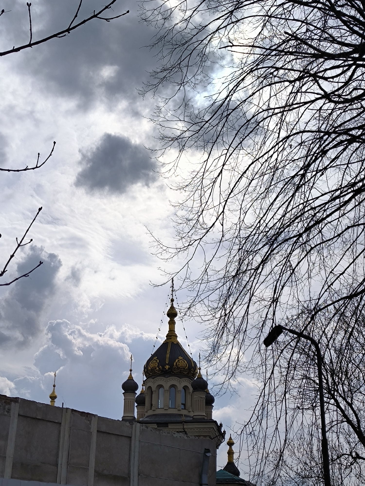 The image shows the cupolas of the Russian Orthodox Church of St. Nicholas, located in Vinnytsia, Ukraine. The domes feature a dark blue color with golden ornamentation. A gray concrete wall appears in the foreground, partially obscuring the base of the church. Bare tree branches frame the church and the cloudy sky. A street lamp is seen among the branches on the right side of the image. The sky is filled with white and gray clouds with a hint of sunlight peeking through.