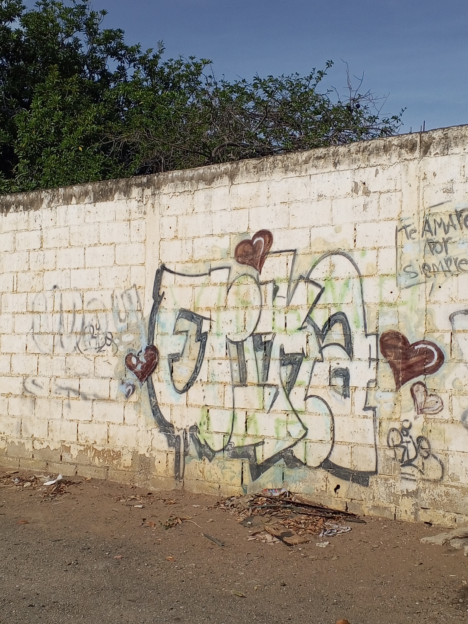 A ground-level shot of a white cinder block wall covered in graffiti in an unknown location, Unknown. The wall is topped by green foliage and extends across the frame. The graffiti includes stylized letters and hearts. The base of the wall is discolored and shows signs of wear. Debris is scattered on the ground in front of the wall.