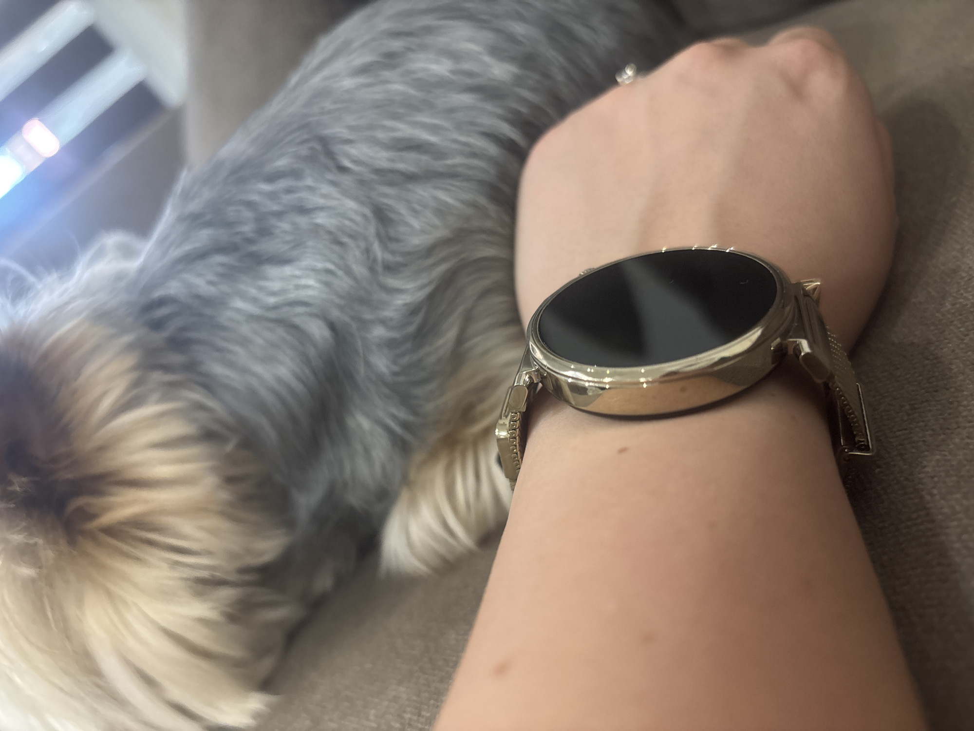 This media file depicts a close-up view of a person's arm with a gold smartwatch. The watch has a black circular screen and a mesh band. The person's arm is resting on a brown, textured surface, likely a sofa or couch. In the background, a small dog with gray and tan fur is visible, appearing to be asleep or relaxed. The dog's fur is fluffy, and parts of its body are blurred due to the focus on the arm and watch.
The lighting in the image suggests it was taken indoors during the daytime, with some light sources reflecting on the watch and the background. There are no visible signs of text in the image. The scene conveys a sense of calm and relaxation, possibly indicating a moment of downtime for the person and their pet. The overall aesthetic is casual and intimate, focusing on personal accessories and companionship. The setting appears to be a home environment.