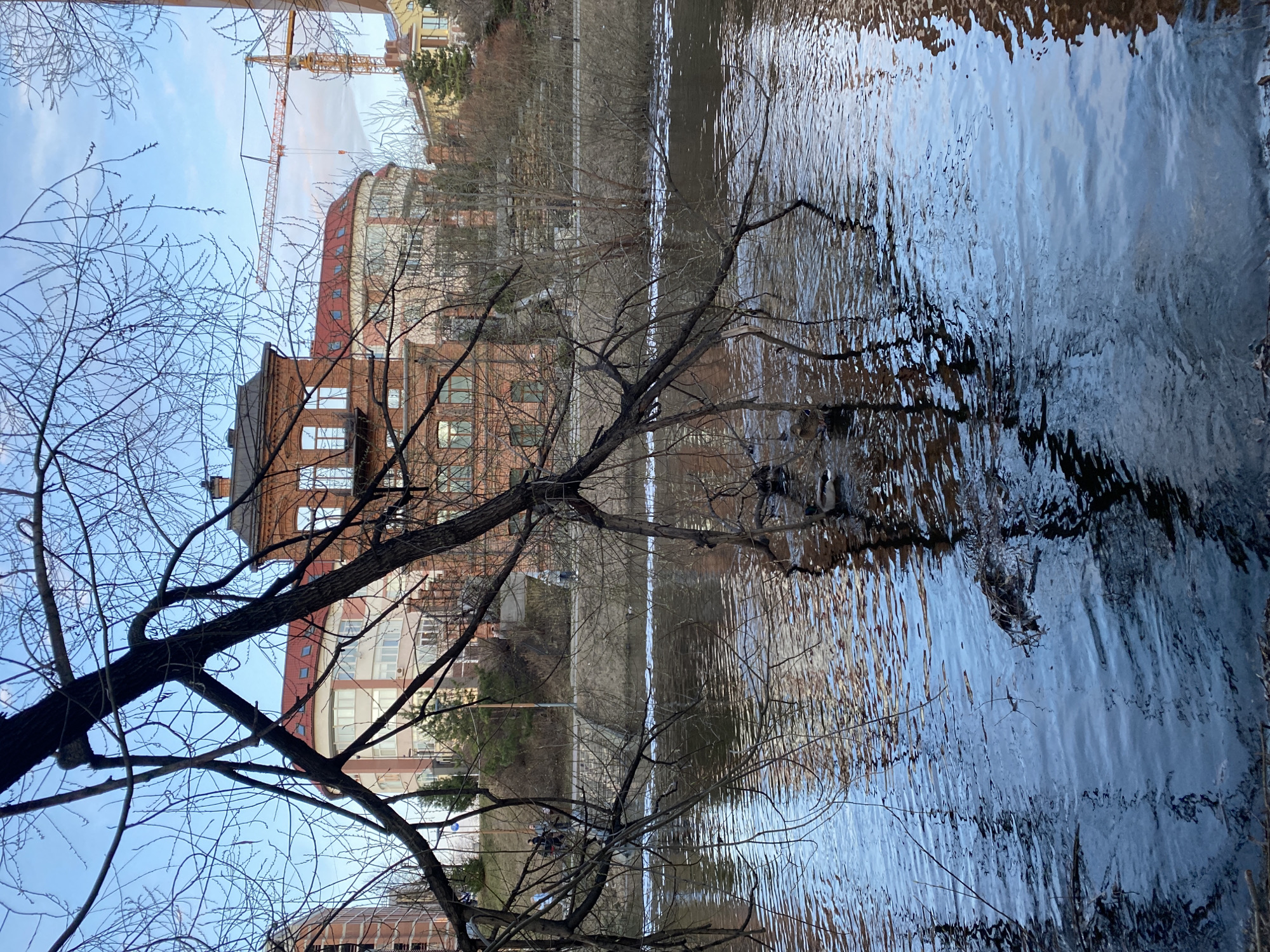 A view of the Iset River in Yekaterinburg, Russia, is visible on a sunny day. The river is reflecting the sky and surrounding buildings. A bare tree is visible in the foreground, with its branches reaching across the river and towards the building. In the background, there is a red brick building with a rounded roof. A crane is also visible behind the building. Other buildings are located in the distance, obscured by the trees.