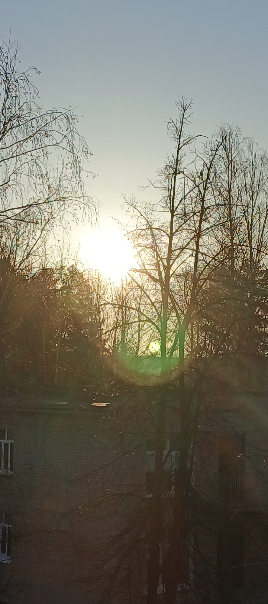 The image depicts a sunrise in Chaikovsky, Russia. The sun is partially obscured by leafless trees, creating a lens flare effect. A building with visible windows and balconies is situated in the foreground, partially obscured by the trees. The sky is light blue near the horizon, fading into a lighter shade upwards.