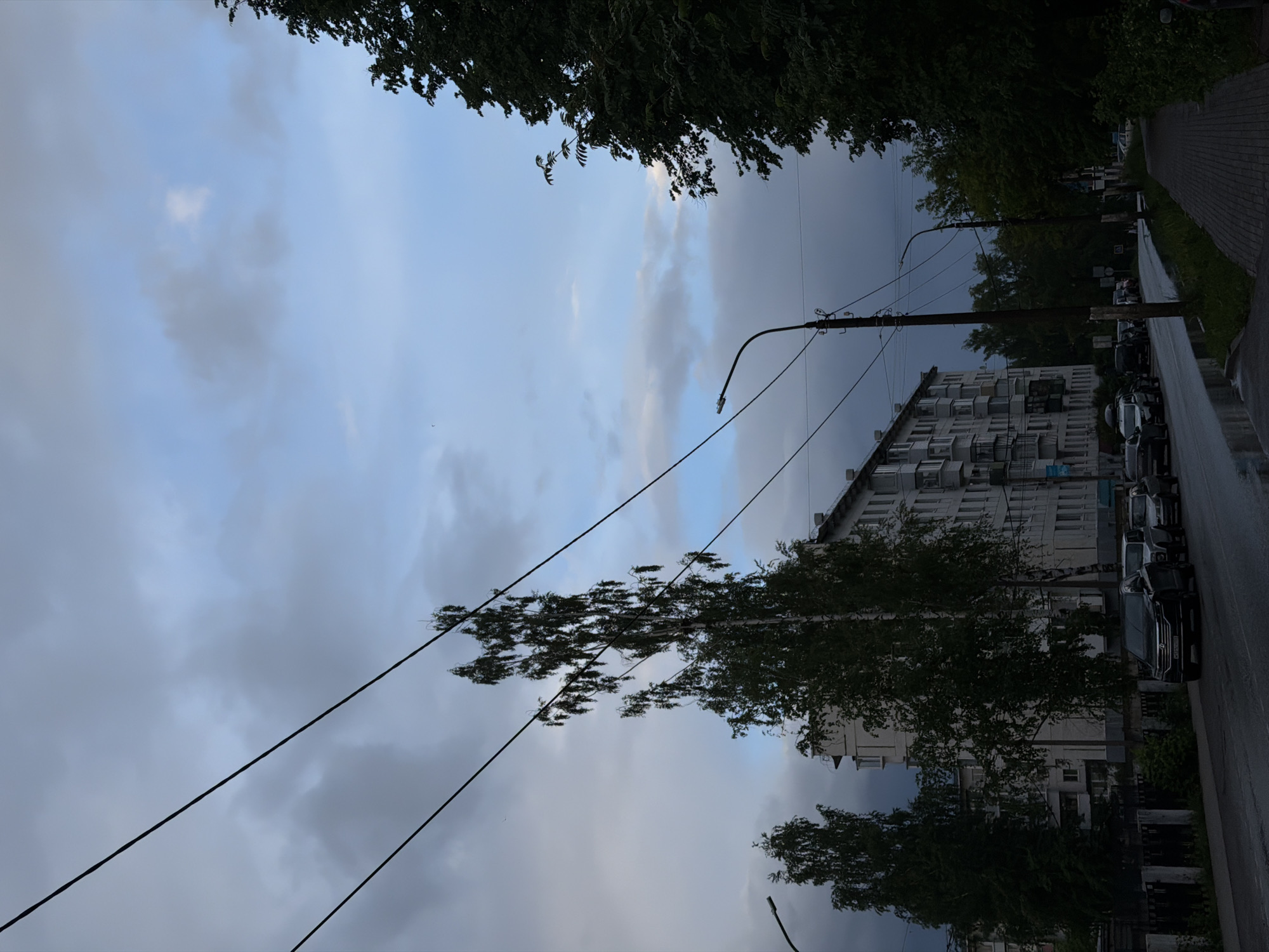 This image depicts a quiet, overcast urban street scene in Chaikovsky, Russia, likely during the late afternoon or early evening. The sky is largely covered by gray clouds, with lighter patches of blue peeking through, indicating a cloudy day.
The scene is dominated by lush green foliage from several trees. A dense canopy of dark green leaves frames the upper left corner, while a tall, slender deciduous tree with light-colored bark (possibly a birch) stands prominently in the center-left, reaching towards the sky. Black power lines traverse the upper portion of the frame, connecting to a tall street lamp post visible on the right.
On the right side, a multi-story apartment building features numerous windows and balconies, many of which appear to be enclosed with white frames. Below the building, a paved sidewalk runs alongside a street where several cars are parked, including a dark sedan and a white vehicle. The street surface appears damp, suggesting recent rain or humid conditions.
No people are visible, contributing to the tranquil and somewhat subdued atmosphere. There is no discernible text visible on any buildings, signs, or vehicles.