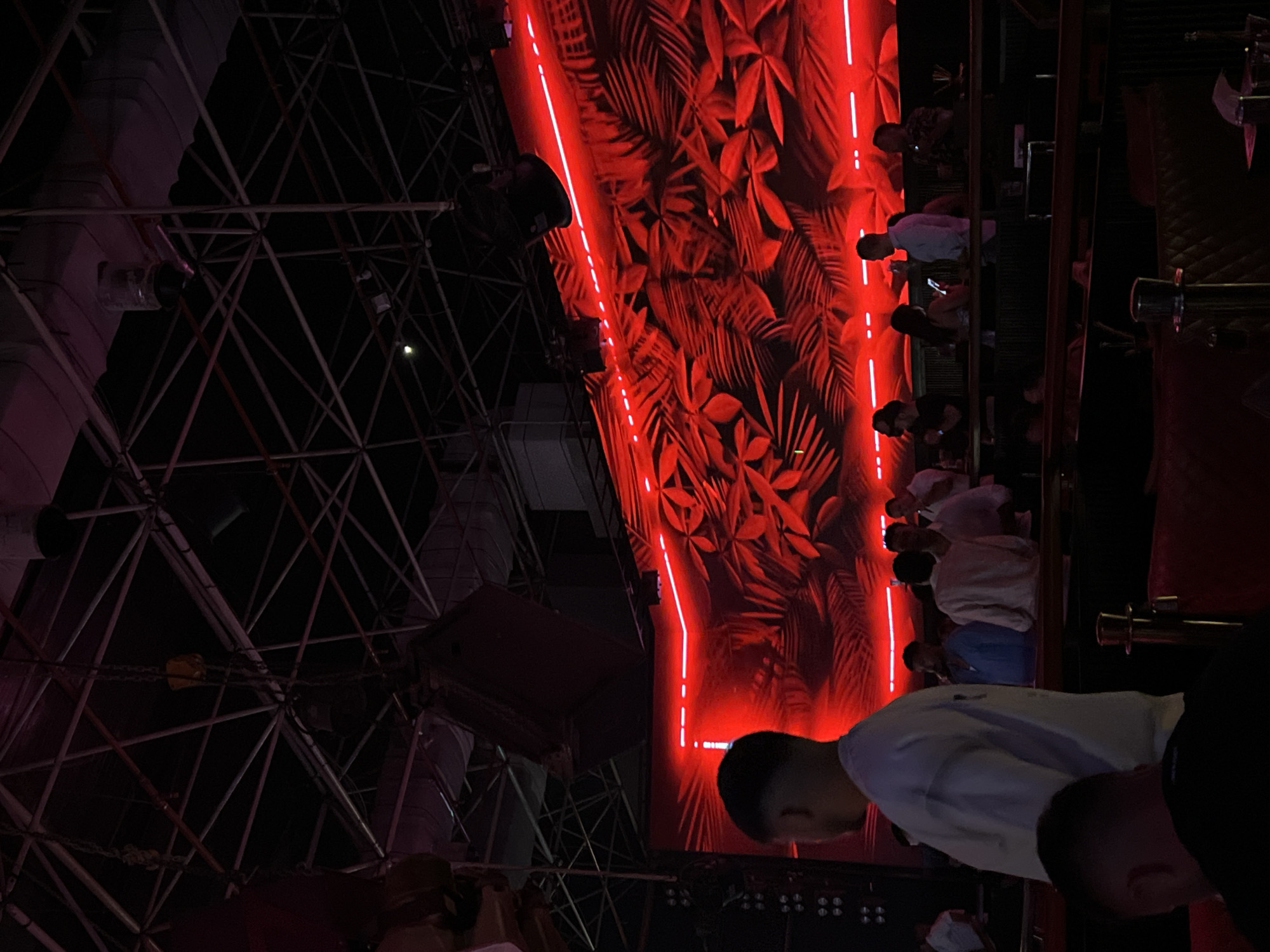 In this indoor nighttime scene, possibly a nightclub or event venue in Sharm El Sheikh, Egypt, a large screen displays a vibrant red pattern of tropical leaves, illuminated by red neon light strips. The ceiling structure is a complex network of metal beams and chains, from which speakers and lighting equipment are suspended. A crowd of people is visible in the background, some standing and some seated, suggesting a social gathering. In the foreground, the backs of two individuals are partially visible. The overall ambiance is dark, with red lighting dominating the scene.