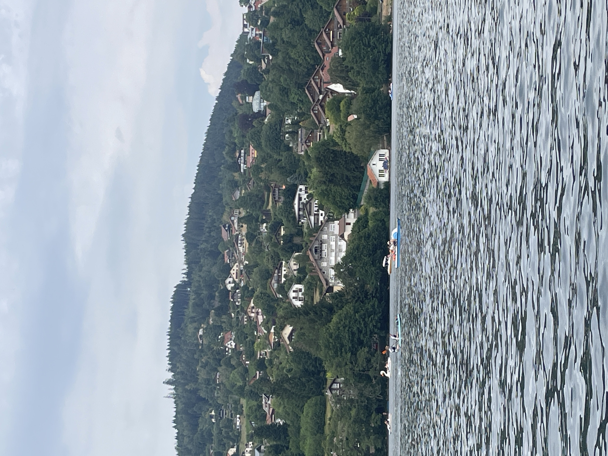 The image shows a wide shot of a lake with a hillside village in the background. The lake is rippling with waves, reflecting the overcast sky. Several small boats, including a swan-shaped paddleboat, are scattered across the water, some with people in them. The hillside is densely covered with trees, interspersed with numerous houses of various sizes and architectural styles, indicating a residential area built on a slope. The houses appear to be predominantly made of brick and wood, with pitched roofs, common in European villages. The overall impression is a peaceful scene of a lakeside community in a natural, hilly environment. The location is identified as being in Gérardmer, France, a town known for its lake and surrounding mountainous landscape.