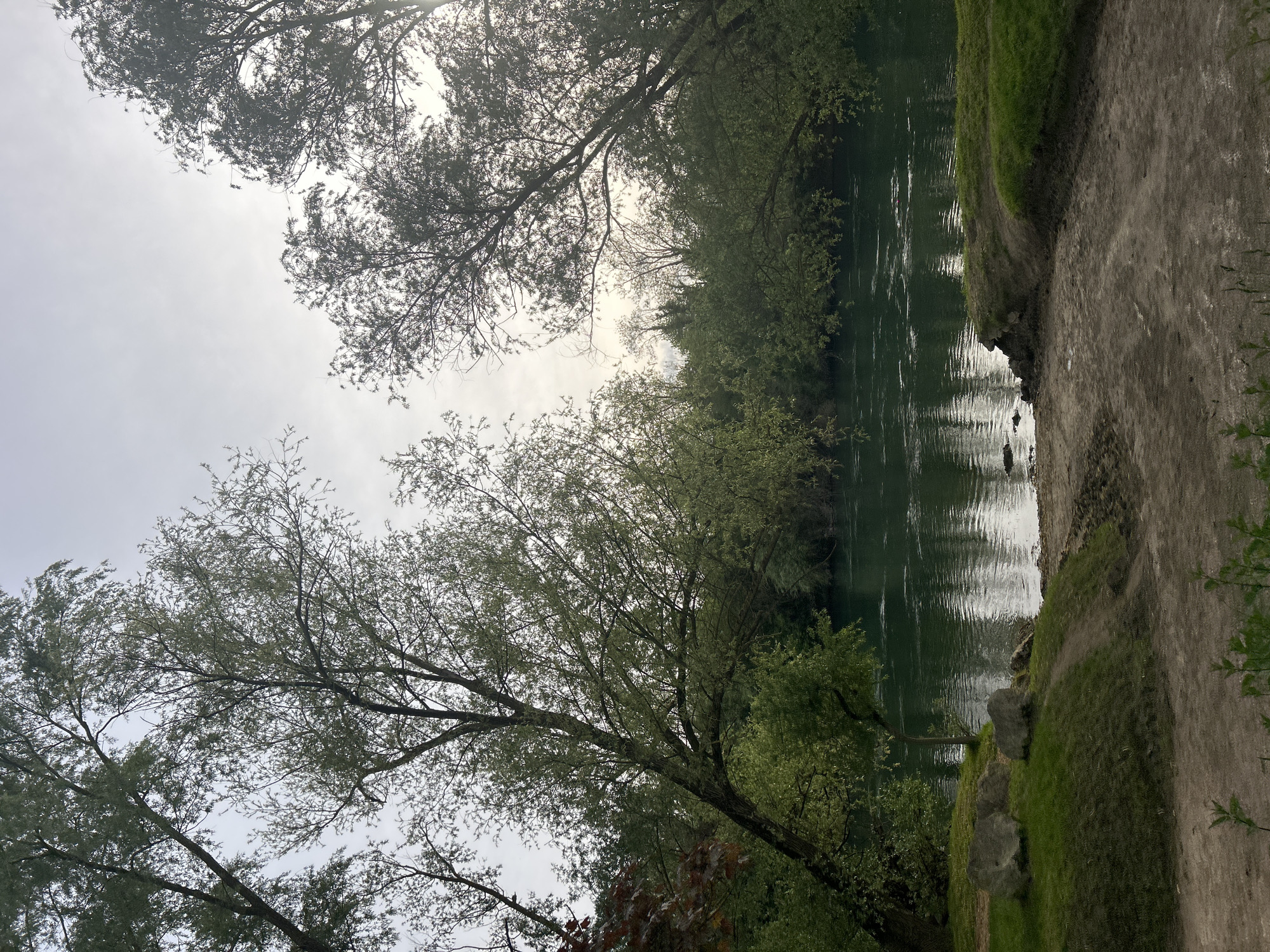 The image captures a scene near the river Marne in Gournay-sur-Marne, France. A dirt path runs alongside the river, with grassy banks lining the edge. Trees with green foliage dominate the view, their branches extending over the water and framing the sky. The river surface reflects the sky and surrounding trees, creating a play of light and shadow. The sky is overcast.