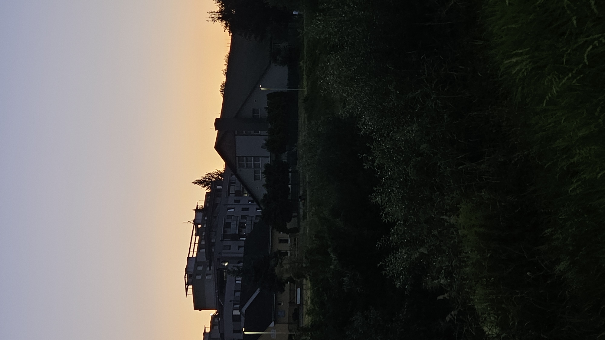 The image depicts a dusky sky over a suburban area, likely in Prešov, Slovakia, given the architectural style of the buildings. In the mid-ground, a multi-story apartment building with a flat roof is silhouetted against the twilight sky, which transitions from a pale lavender at the top to a soft orange near the horizon. In front of the apartment building, a lighter-colored, more angular building with a gabled roof is visible, featuring rows of windows and a prominent chimney. A streetlamp stands near this building, its light faintly illuminated. To the left of this, two smaller, single-story residential buildings with dark roofs and visible windows are partially obscured by trees and foliage. The foreground is dominated by dense, dark green vegetation, consisting of bushes and tall grasses, which are largely in shadow, suggesting the image was taken shortly after sunset or before sunrise. The overall atmosphere is tranquil and somewhat subdued, characteristic of the transition between day and night in a residential setting.