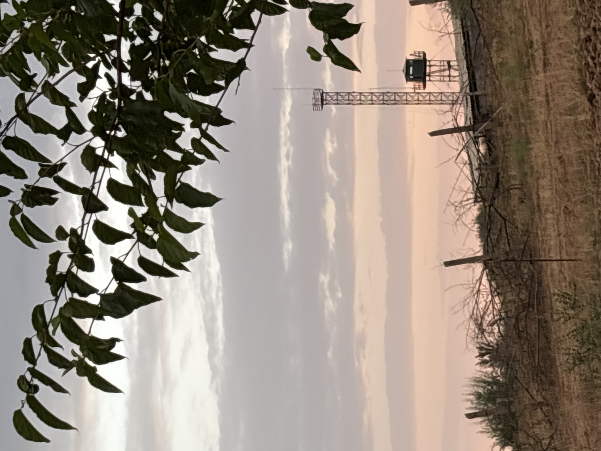 In the city of Kyzyl Shalola, Uzbekistan, this image captures a twilight scene with a focus on a tall lattice tower topped with an antenna and a small observation booth at its base. The tower stands to the right of center in the mid-ground, behind a rough fence line constructed from wooden posts and tangled branches. The ground in the foreground is a mixture of dry earth and sparse vegetation. Above the fence and the tower, the sky is filled with soft, layered clouds, tinged with the pale pinks and grays of sunset. Dark green leaves from a tree branch hang into the upper left portion of the frame, partially obscuring the sky. The overall atmosphere is quiet and observational.