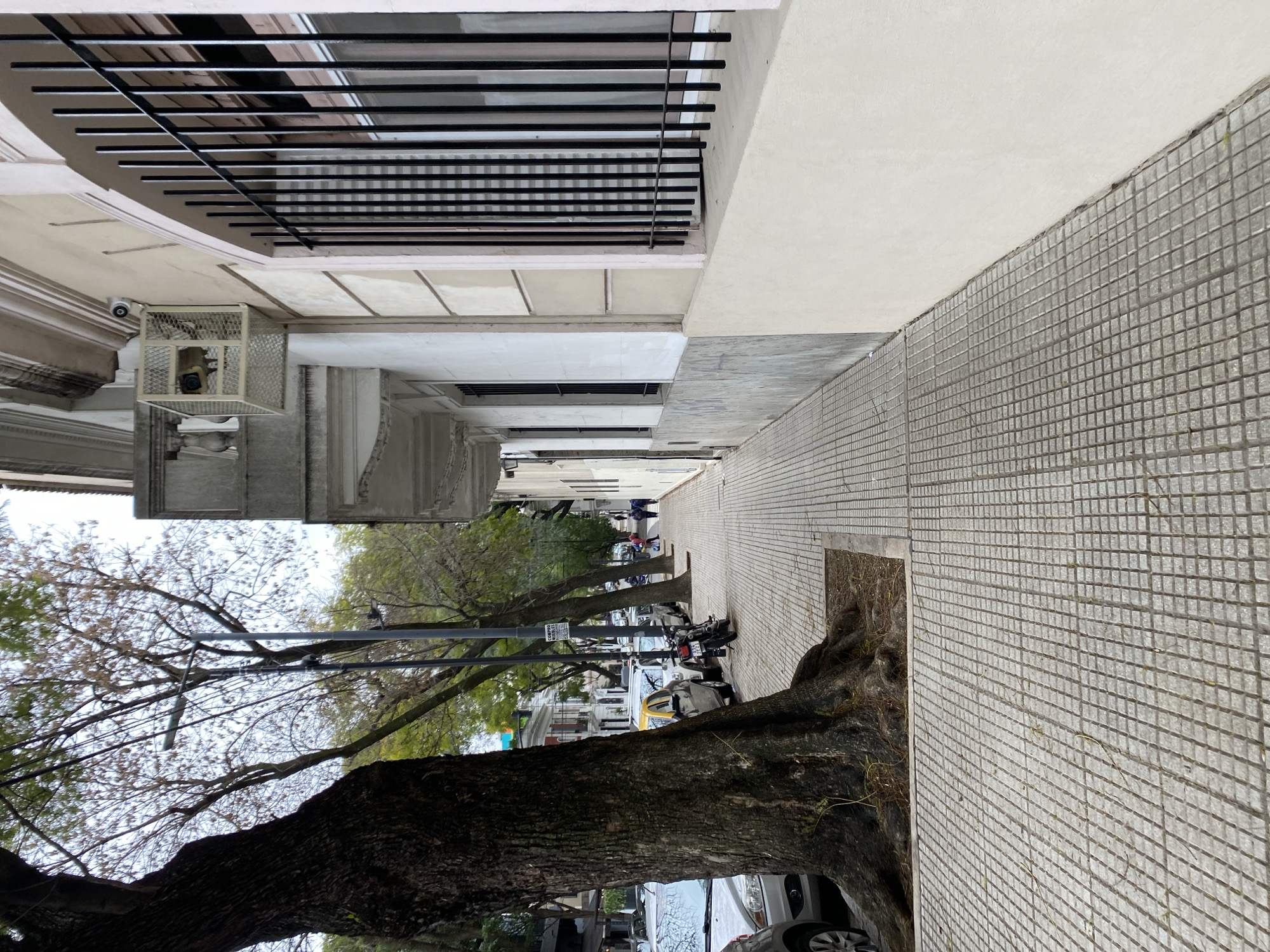 The image depicts a street scene in Buenos Aires, Argentina, likely a residential or commercial area, characterized by a sidewalk paved with small square tiles and bordered by a street with parked cars. A large, mature tree with a thick, gnarled trunk is prominently featured on the left, its roots exposed and spreading across the sidewalk. The building facade on the right is light-colored, with barred windows and architectural details, suggesting an older style of construction. A security camera is visible mounted on the wall above a cage-like structure containing what appears to be an air conditioning unit. Several vehicles, including cars and a motorcycle, are parked along the street. A few pedestrians are visible in the distance walking on the sidewalk. The sky is overcast, indicating a cloudy day.