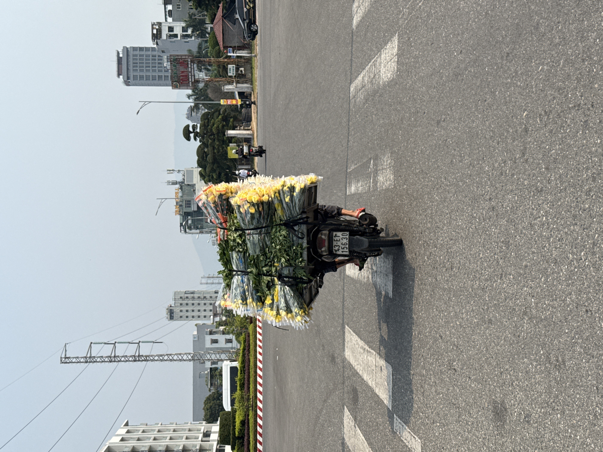 A person on a motorcycle is transporting a large quantity of yellow flowers. The motorcycle is in the middle of the road, stopped on a crosswalk. The license plate of the motorcycle is visible and reads "43-E1 156.30". In the background, there are buildings and trees, suggesting an urban environment. There's a white bus parked to the side of the road, next to a red and white curb. Power lines are visible in the distance. Based on the license plate, the location is likely in Đà Nẵng, Vietnam.