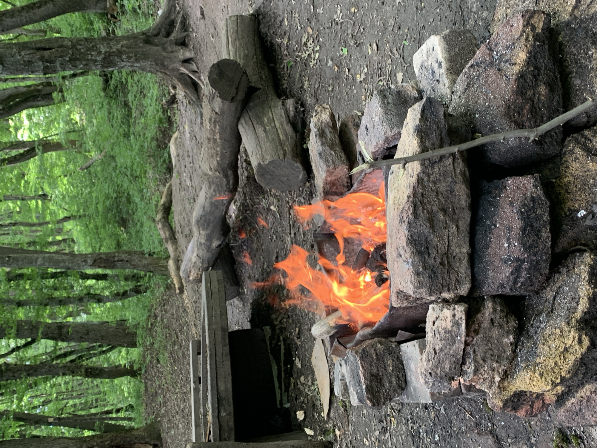 The image depicts an active campfire situated in a wooded area, location Unknown, Unknown. In the foreground, a fire burns brightly within a metal ring, which is encased by a circular structure of stacked, irregularly shaped rocks and bricks. Visible flames are orange and yellow, emanating from burning wood and embers inside the fire pit. A thin, dark stick leans against the rocks on the right side of the fire pit.
Behind the fire pit, to the left, a partial view of a rustic wooden structure, possibly a table or bench, is visible. It is constructed from dark, rough-hewn planks. To the right and behind the fire pit, two large, cut logs lie horizontally on the dirt ground, stacked or positioned parallel to each other. Further back, another large, lighter-colored log is visible.
The ground surrounding the campfire area is composed of dark soil, sparse dry leaves, and small patches of green vegetation. The background consists of a dense forest with numerous mature trees featuring grey and brown trunks, and a thick canopy of green leaves, indicating a heavily vegetated environment. No people or animals are present in the scene.