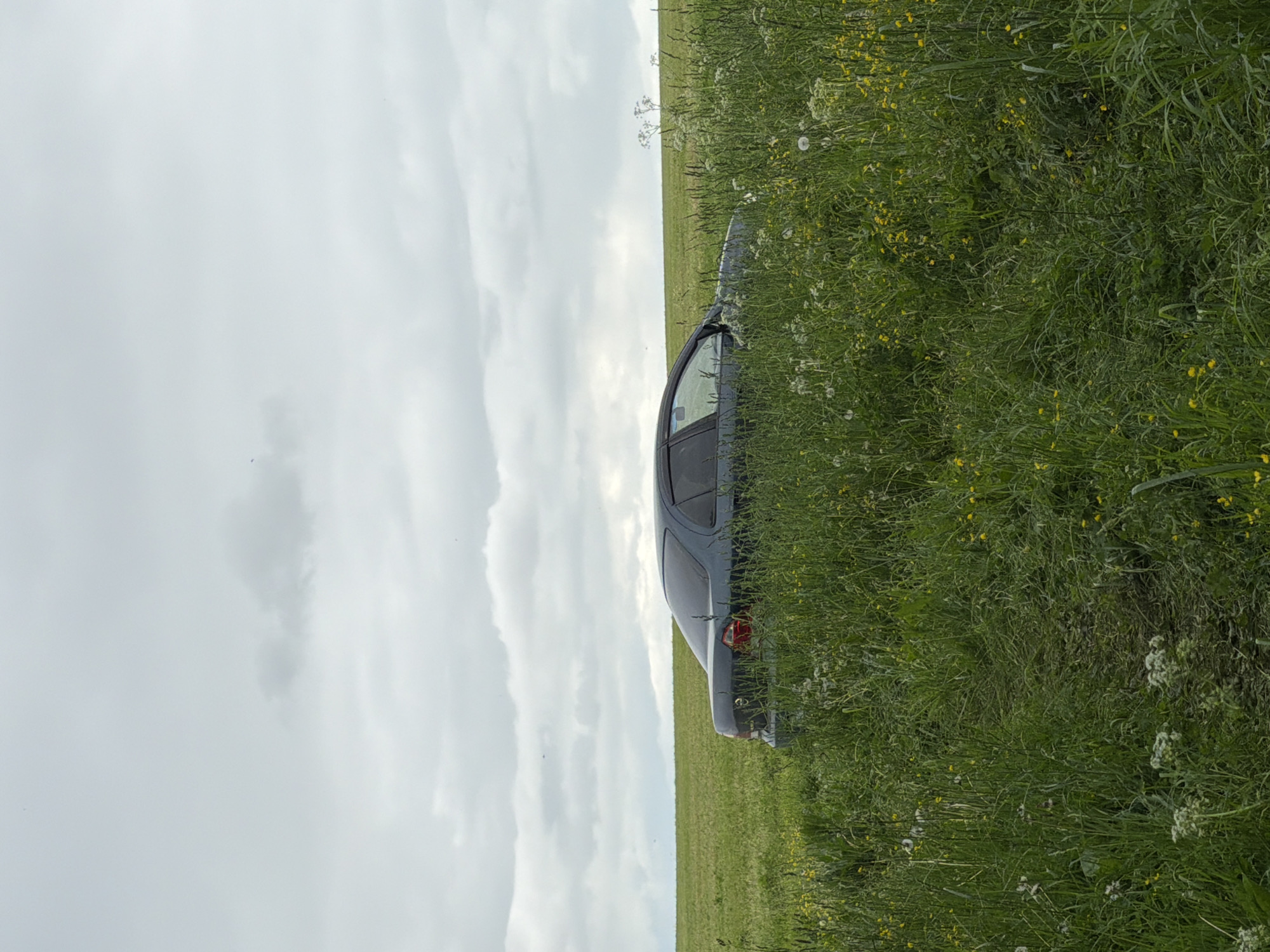 The image depicts a dark-colored four-door sedan partially obscured by tall green grass and wildflowers in a rural field environment. The car, identified by a Nissan emblem on its trunk, is positioned with its rear-left quarter facing towards the viewer's left, and its front-right quarter extending out of view to the right. The vehicle's rear window appears tinted. Red taillights are visible.
The foreground is dominated by lush, unkempt green grass interspersed with various wildflowers, including small yellow blooms and white clusters. A narrow, flattened path or track of compressed vegetation is visible in the immediate foreground, leading towards the vehicle. Beyond the car, a flatter expanse of green field stretches to a level horizon line. The sky above is heavily overcast with a uniform layer of grey and white clouds, suggesting a cloudy daytime scene with diffuse light. No people are visible in the frame. The specific city of Kechur, Russia, cannot be confirmed from the visual evidence presented in the image.