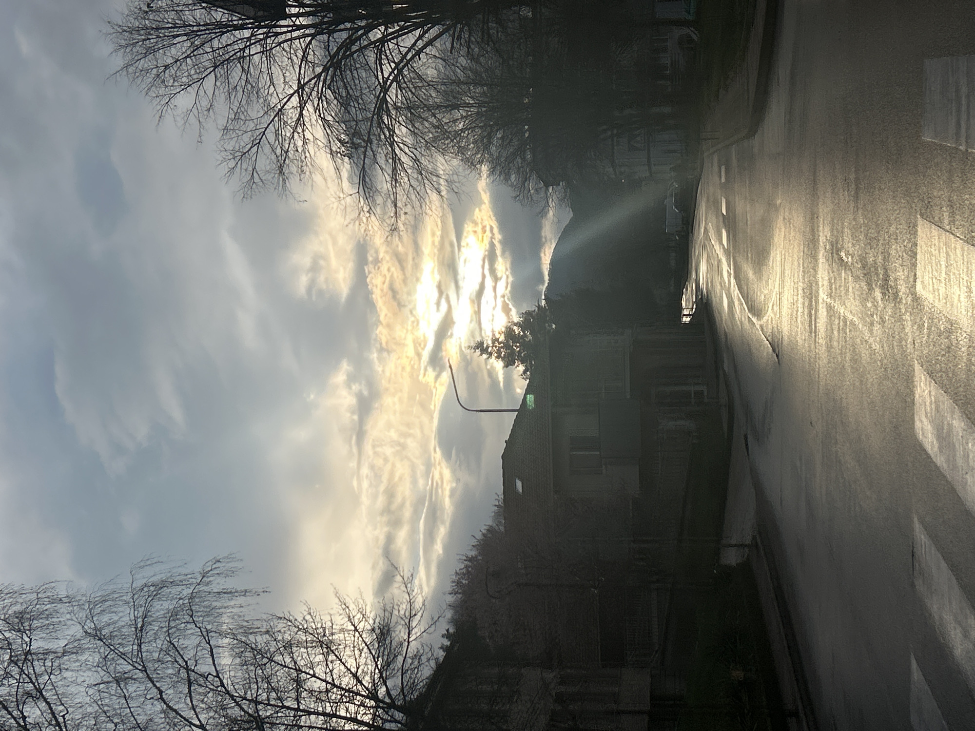 Captured at an oblique angle, the photograph depicts a street scene in Zlatograd, Bulgaria. The roadway is wet, reflecting the sunlight filtering through the clouds above. A pedestrian crossing is visible on the right side of the road. A building stands adjacent to the road with a street light in front of it. Bare tree branches frame the top and bottom of the image, while the sky above is filled with clouds illuminated by the sun.