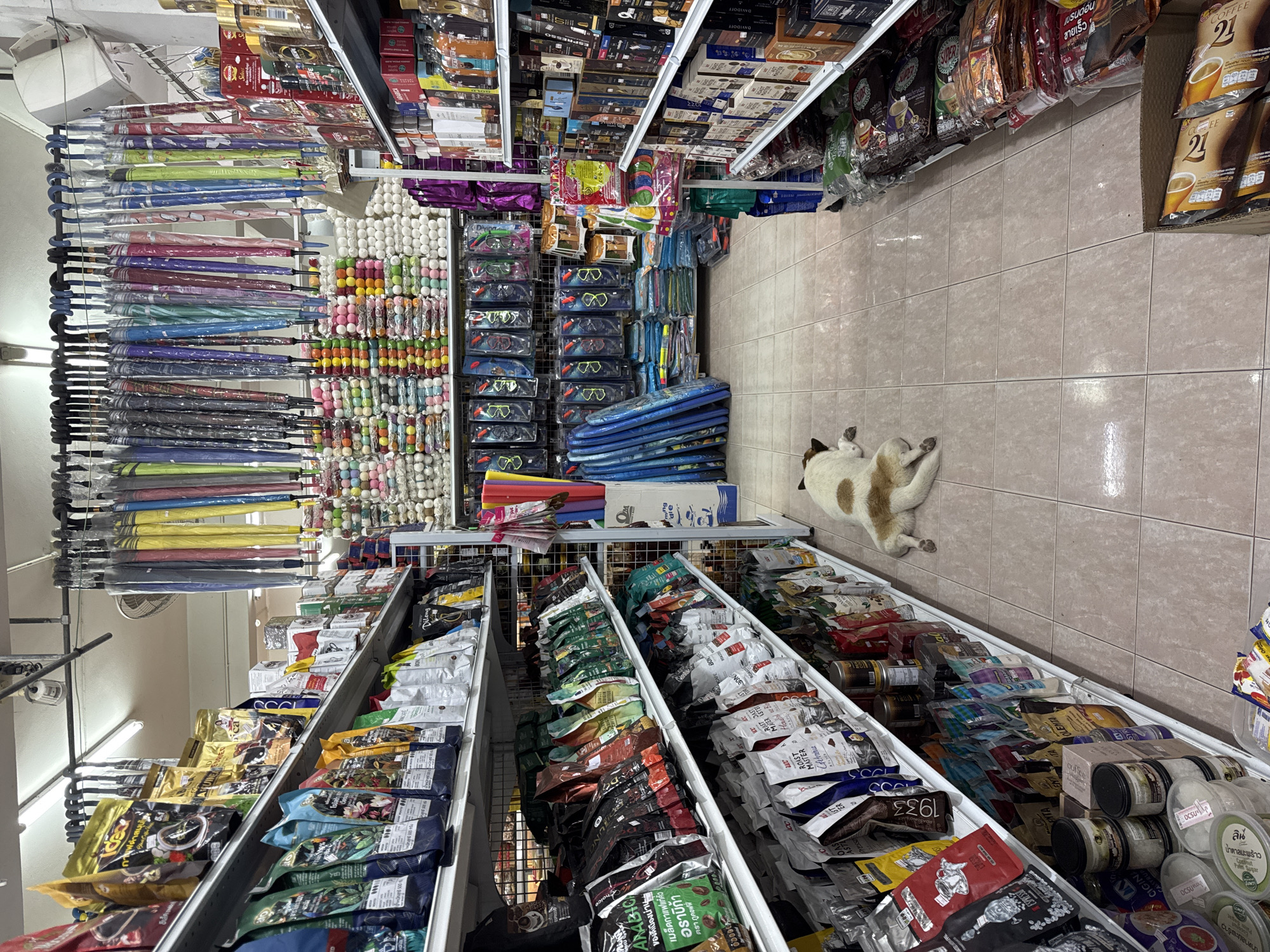 This is a medium-shot, eye-level photograph taken inside a retail store, likely a convenience store or small supermarket, located in Tambon Ko Phangan, Thailand. The store is filled with merchandise stacked on shelves lining both sides of an aisle. The merchandise consists primarily of packaged food items, including bags of coffee, snacks, and possibly pet food, with some household goods like umbrellas also visible. The aisle is tiled with light-colored, square tiles. In the center of the aisle, a medium-sized dog with white and brown fur is lying down on the floor, facing away from the camera. The dog appears to be resting or sleeping. The overall impression is one of a well-stocked, but somewhat cluttered, local shop.