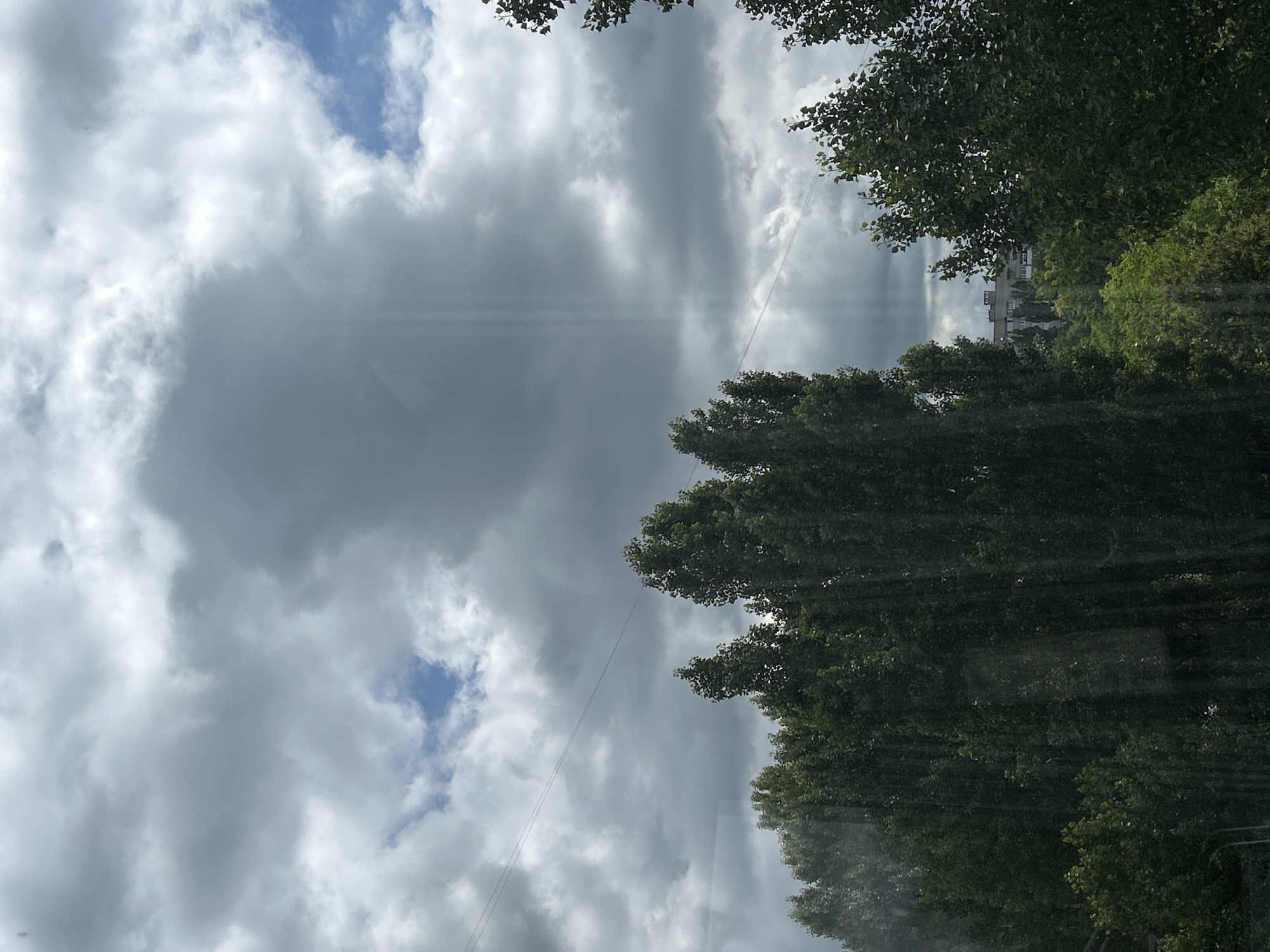 The image depicts a cloudy sky with a few patches of blue visible. A row of tall trees with dense green foliage dominates the lower half of the frame. In the distance, through a gap in the trees, a building with a distinctive architectural style is visible. Two thin wires are strung across the sky. The scene appears to be an outdoor environment, possibly a park or a residential area within a city. The lighting suggests it is daytime, with the clouds casting a diffused light over the landscape.