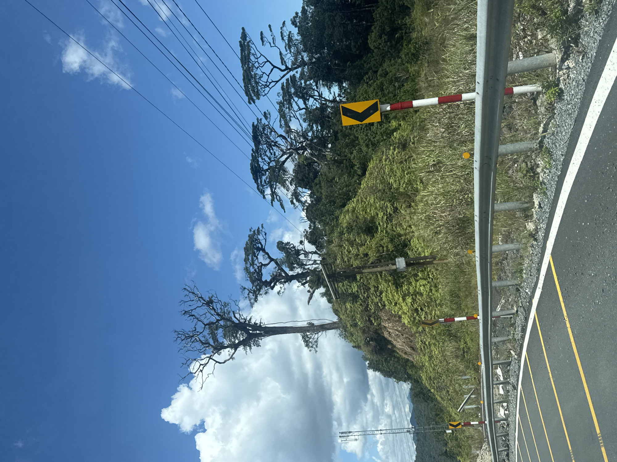 The image depicts a roadside view in the city of Lac Duong, Vietnam, under a bright blue sky with scattered white clouds. A paved road with yellow and white lane markings curves to the left in the foreground. A metal guardrail runs along the side of the road. On the elevated embankment beside the road, lush green vegetation and tall grasses are visible. Several trees, some with bare, gnarled branches and others with full canopies, grow on the hillside. A cell tower is present in the distance to the left, and power lines are strung across the upper right portion of the image. Traffic signs, including a yellow chevron sign indicating a curve, are posted along the roadside, mounted on red and white striped poles. The scene is characterized by its natural landscape and infrastructure elements, typical of a rural or mountainous region.