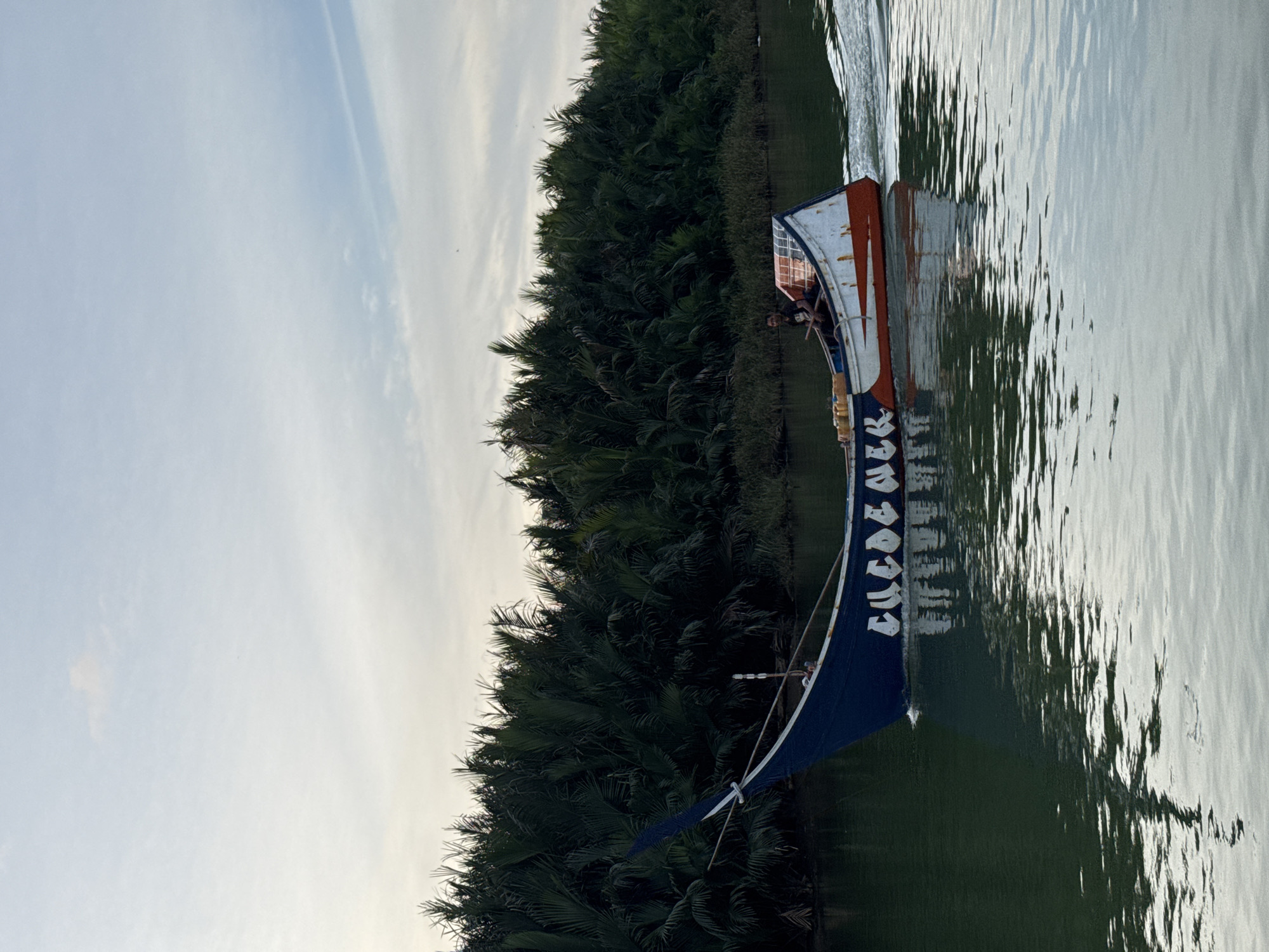 A wide shot shows a blue and white motorized boat with orange accents moving through a dark green body of water. The boat has the word "LUDEUL OK" written in white block letters on its side. A man is seated in the boat, steering it. The boat is leaving a wake. The background consists of a dense line of palm trees, likely nipa palms, which are common in the coastal areas of Aceh, Indonesia. The sky above is overcast with patches of light blue visible. The water reflects the trees and the sky. The scene appears to be set in a natural, possibly rural, environment in or near Reudeuep, Indonesia.