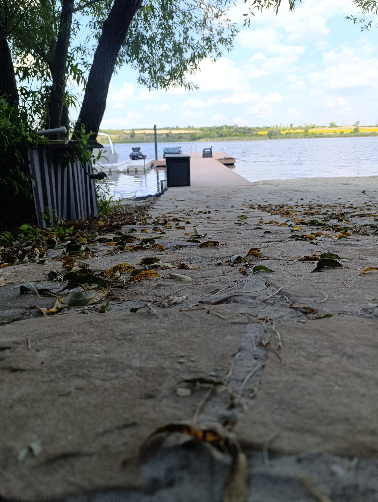 The image depicts a low-angle view of a concrete pathway leading to a wooden dock on the bank of a body of water, likely a lake or river, in Bulatselivka, Ukraine. The pathway is covered in scattered fallen leaves, suggesting an autumn or late summer season. To the left, a dark, corrugated metal fence stands next to lush green foliage and the trunks of several trees. Beyond the fence, a white boat is docked on the water. The wooden dock extends into the water, with a black bin and two dark chairs visible on its surface. The water is calm, reflecting the cloudy blue sky. In the background, a treeline separates the water from a field of yellow flowers and further distant green vegetation under a bright sky. The overall scene conveys a peaceful, natural setting near the water.