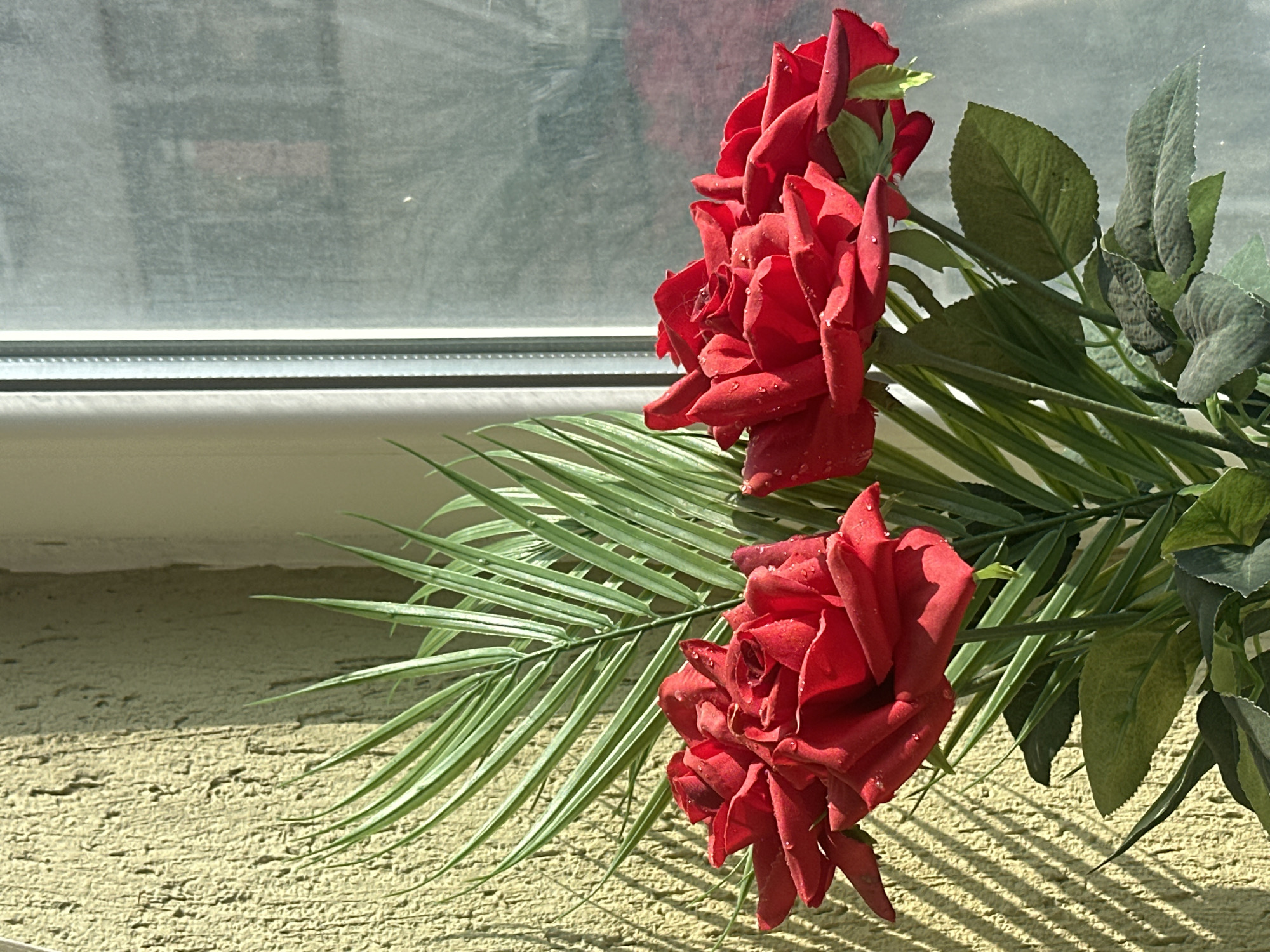 A still-life scene featuring red roses and green foliage, likely artificial, positioned near a window. The window frame is visible, with a hazy or slightly obscured view to the outside. The roses are arranged in a cluster, with one fully open and others partially in bloom. The scene is situated on a rough, textured surface that appears to be part of a building's exterior. The specific location within Varna, Bulgaria, is not discernible from the image. No people, actions, or interactions are visible in the image. The environment seems to be interior based on the location of the roses, which could be on a window ledge. The overall tone of the image is bright due to the sunlight that's casting shadows.