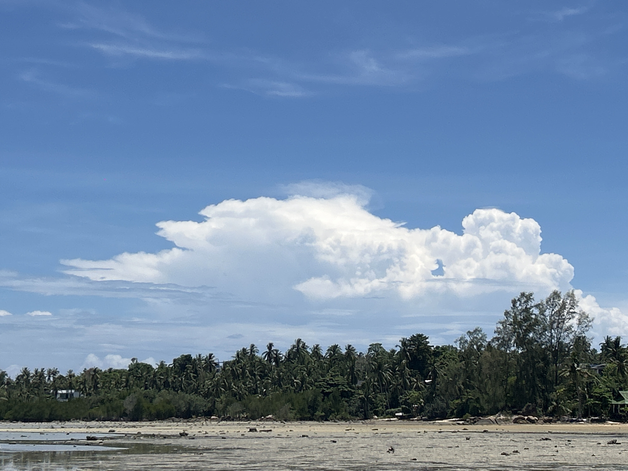 The image depicts a coastal scene in ตำบลเกาะพะงัน, Thailand, under a partly cloudy sky. A large, cumulonimbus cloud formation dominates the sky above the tree line. Below the sky, a line of lush green trees, including coconut palms and other tropical vegetation, lines the coast. The tide is out, exposing a wide mud flat or beach littered with rocks and small debris. The scene is generally tranquil, with no visible human activity.
