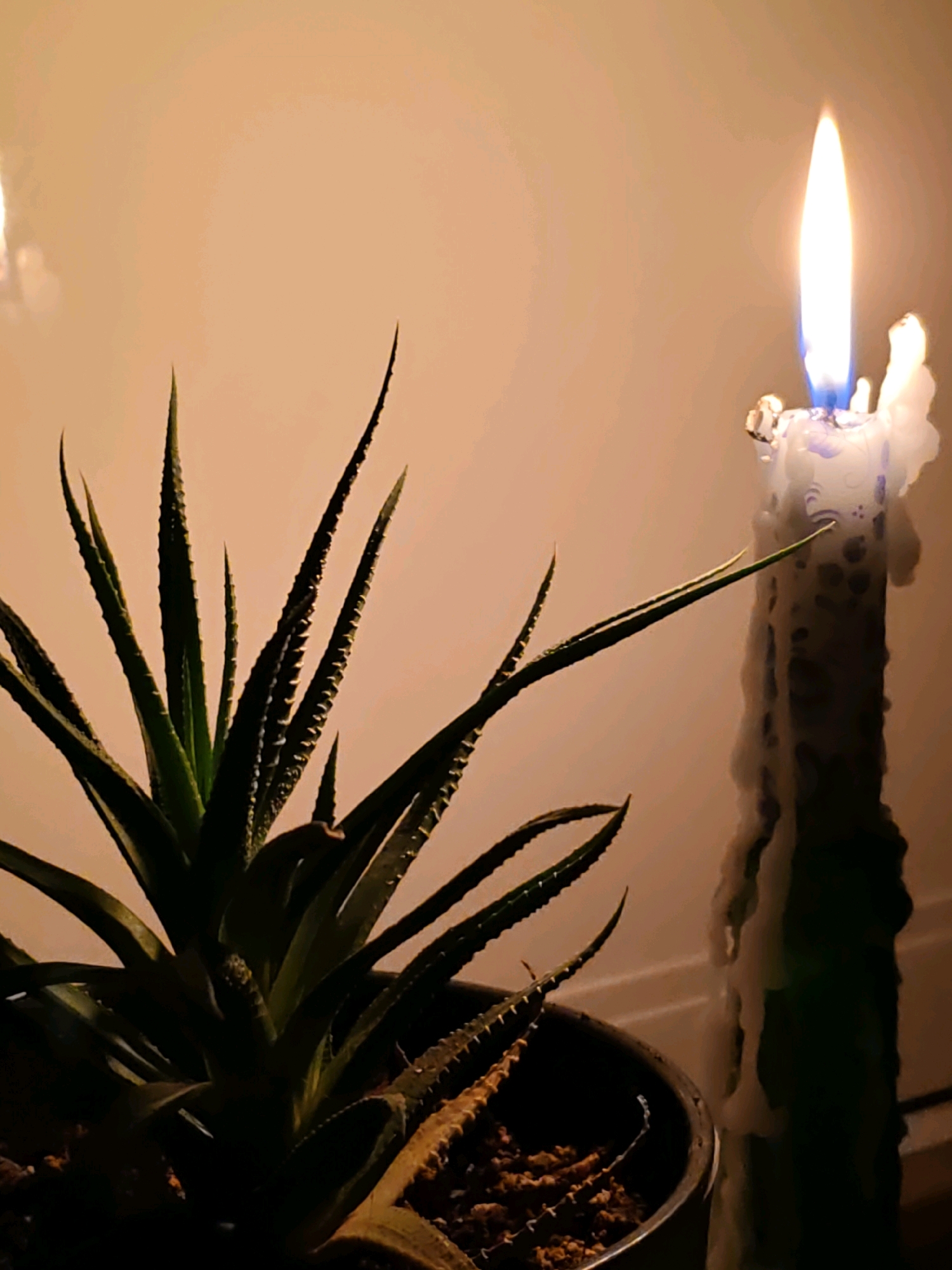 In Rostov-on-Don, Russia, a close-up photograph captures a still life with a lit candle and a potted succulent plant. The scene is illuminated by the warm glow of the candle, creating soft shadows and highlighting the textures of the objects. The candle, positioned on the right side of the frame, is tall and slender, with white wax dripped down its sides in a textured pattern. A bright flame dances at its wick, casting a warm light on the surroundings. To the left of the candle, a succulent plant with spiky, green leaves is visible. The plant is in a dark pot, and its leaves reach upwards and outwards, some pointing towards the flame. The background is a plain, light-colored wall, which further emphasizes the subjects in the foreground. The overall atmosphere is calm and intimate, suggesting a quiet moment in a domestic setting.
