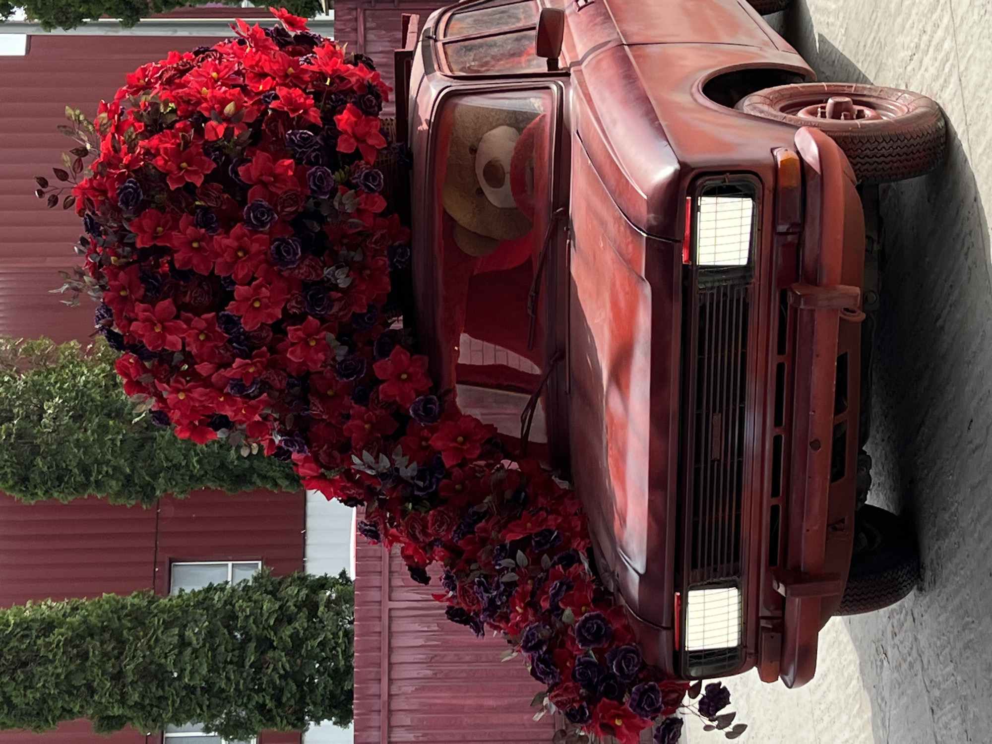 An outdoor art installation features a vintage-style pickup truck, entirely painted in a reddish-brown, with a rustic or worn finish. The truck bed is overflowing with a voluminous display of artificial flowers, predominantly bright red with accents of dark purple. These flowers also cascade down the sides of the truck. A large, light-colored teddy bear, wearing a red scarf or garment, is visible sitting in the passenger seat, looking out through the windshield. The truck's headlights are illuminated, appearing bright white, and a spare tire is mounted on the rear, also painted the same reddish-brown.
The scene is set in bright daylight, indicating clear weather. In the background, a reddish-brown building with horizontal siding is partially visible, with windows and two rows of neatly trimmed green evergreen bushes or hedges. The truck is parked on a light grey concrete or paved surface. This artistic arrangement, located in Ternopil, Ukraine, creates a striking visual display, blending automotive aesthetics with floral art and a poignant element of the teddy bear. No discernible text is visible in the image.