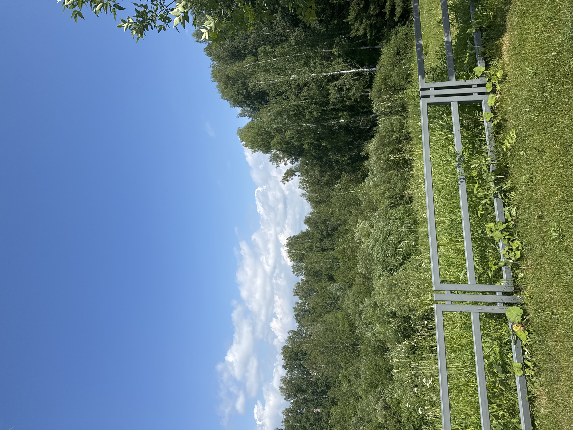 The image shows a sunny day in Koltsovo, Russia. The sky is a clear blue with scattered white clouds. In the foreground, there is a gray metal fence with two horizontal bars. Beyond the fence, there is a field of tall green grass and wild flowers. Behind the field, a dense forest of green trees can be seen. The trees appear to be a mix of deciduous and coniferous species, with some birch trees being particularly noticeable. The overall scene depicts a natural landscape on a pleasant summer day.