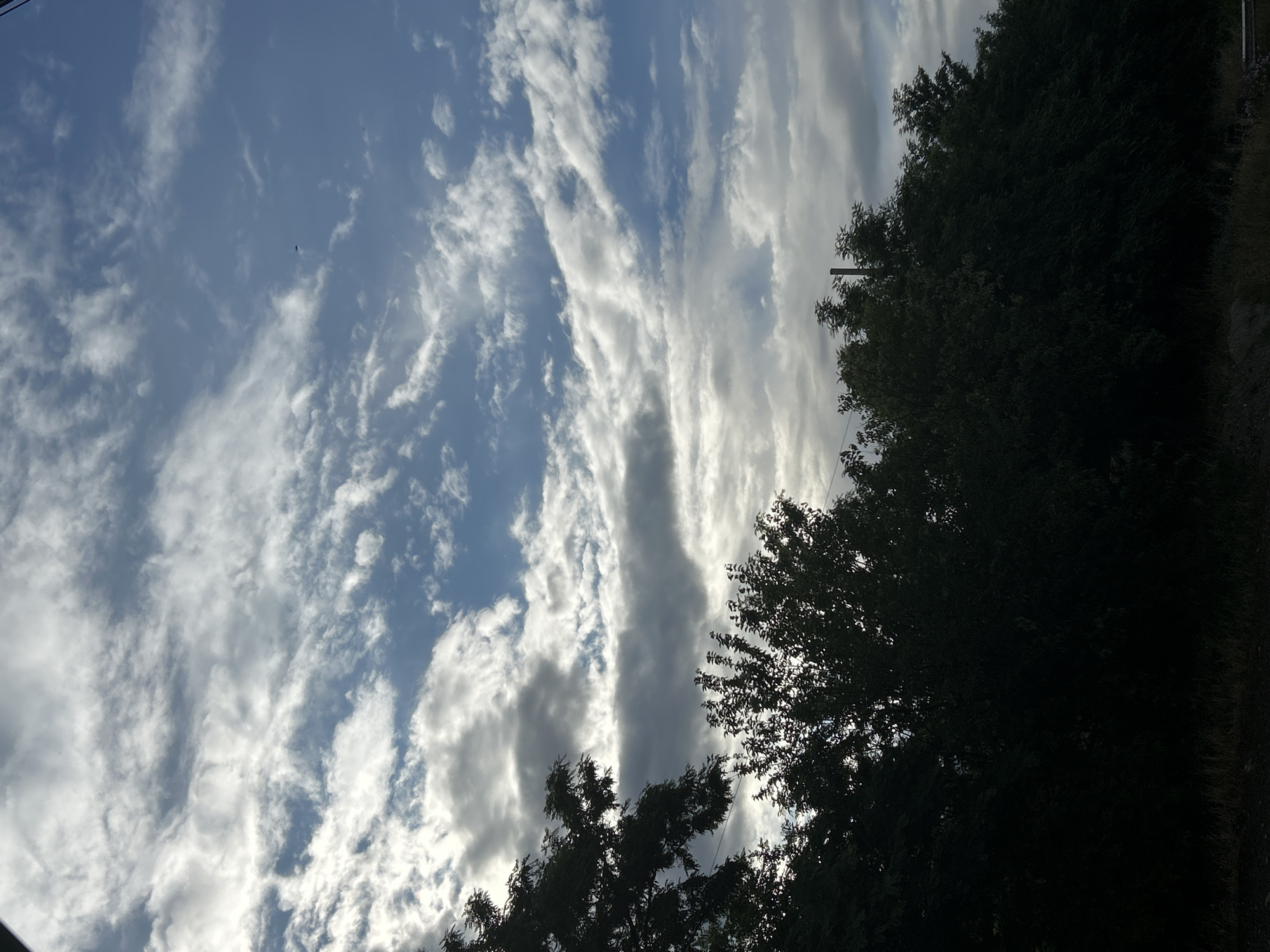 The image captures a daytime sky dominated by a mix of blue patches and dynamic cloud formations, as observed in Dolna Gradeshnitsa, Bulgaria. The original photo is rotated sideways, showing a horizontal expanse of sky and clouds across the majority of the frame, with a dark silhouette of trees along the right and bottom edges.
When viewed with the correct orientation (sky above, trees below), the upper portion of the frame features a bright blue sky partially covered by white and light grey clouds. These clouds are varied, ranging from wispy, streaky formations to more substantial, elongated masses that appear to be catching sunlight, giving them a luminous quality. Some darker, greyish cloud sections are also visible, suggesting varying cloud depths and light conditions. A tiny, dark, indistinct object, possibly a bird or insect, is discernible against the blue sky in the upper left.
Along the lower and right edges, a dense line of trees forms a dark, almost black silhouette against the bright sky, indicating they are backlit. Their individual leaves are not visible due to the contrast, presenting as a solid, organic mass. A dark utility pole with a crossbar emerges from within the trees on the right side.
The scene depicts a partially cloudy day, likely during late morning or early afternoon, given the bright illumination of the clouds and the blue sky. There is no visible text in the image.