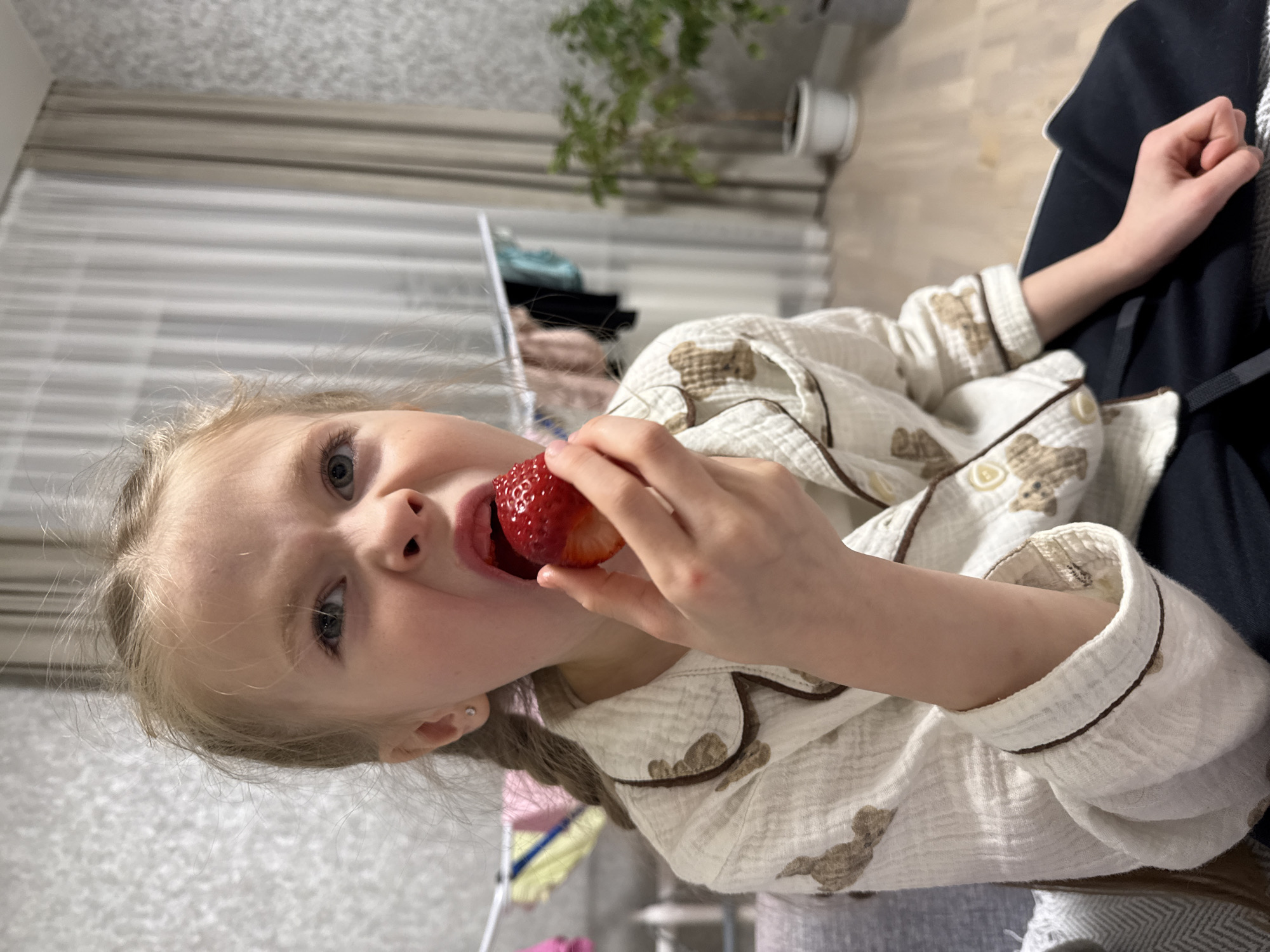 A young Caucasian girl with blonde hair and blue eyes is eating a strawberry. She is wearing pajamas with a teddy bear print and dark brown piping. She is holding the strawberry in her right hand and has taken a bite. The background includes a window with light-colored curtains, a houseplant on a shelf or stand, and some furniture with dark fabric. It is not possible to confirm whether this photo was taken in Izhevsk, Russia or not.